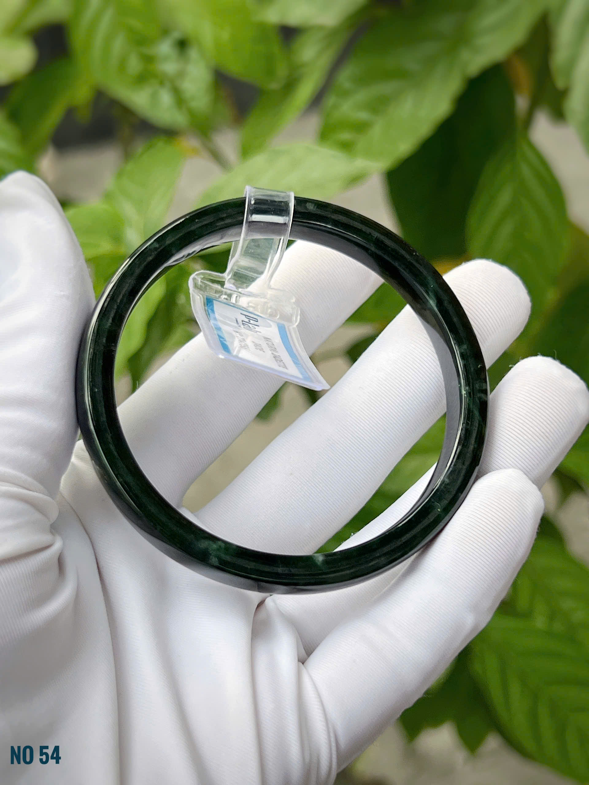 gen-h-z7294488676829_f686a283c3f7383e29378c8242887c15