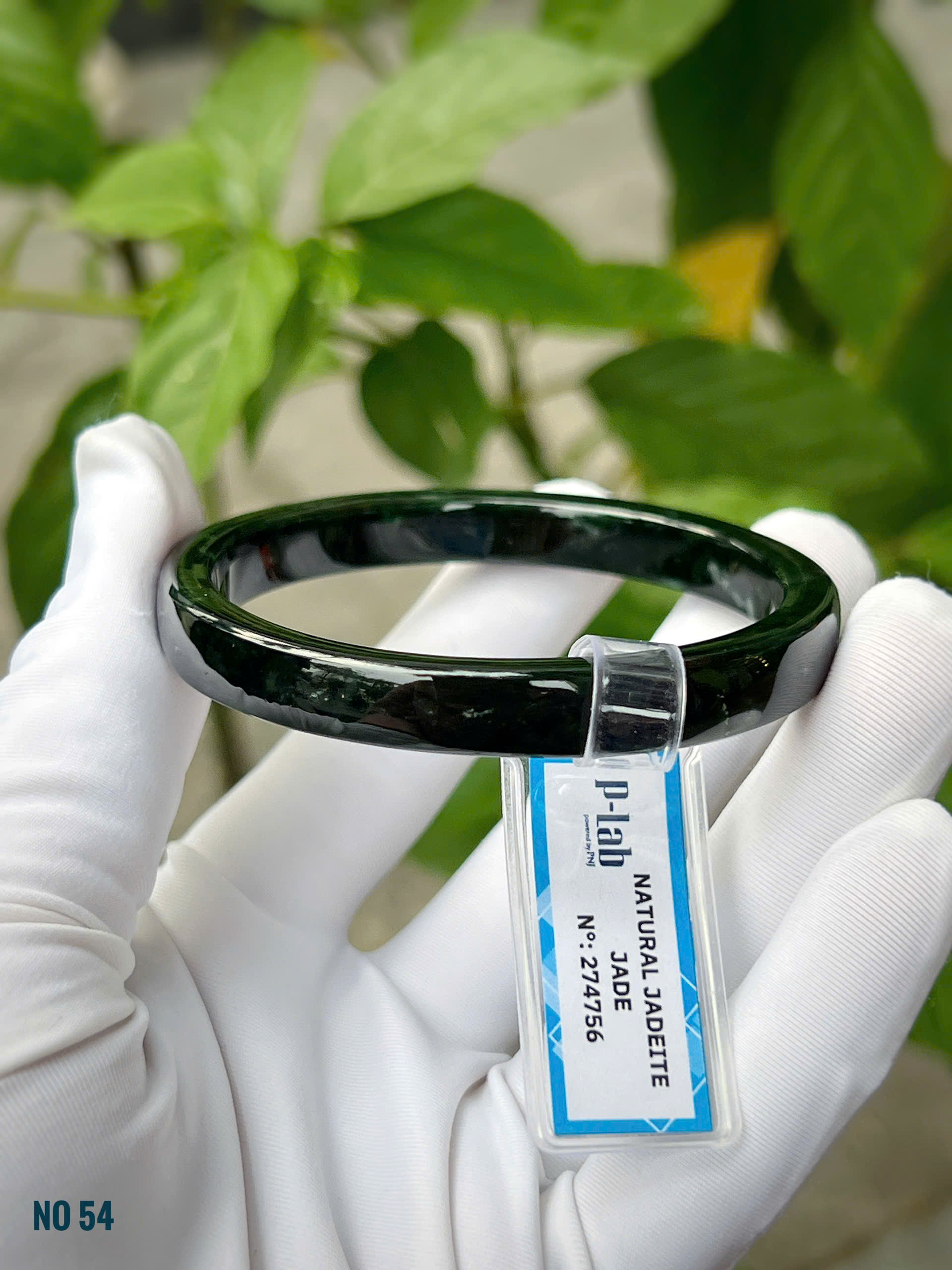 gen-h-z7294488682036_2c2399cf1d6be00445f5cdfd5b6692f5