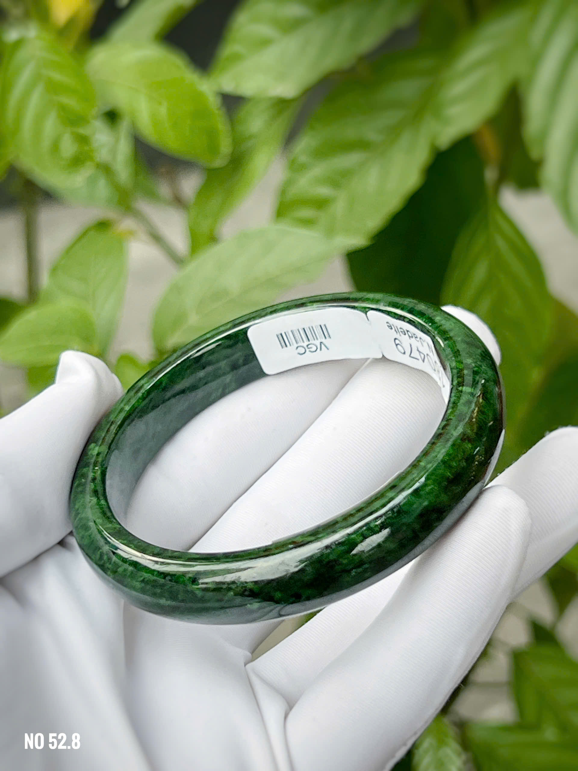 gen-h-z7294492073441_d20f83dc48021050518784bc614e136b