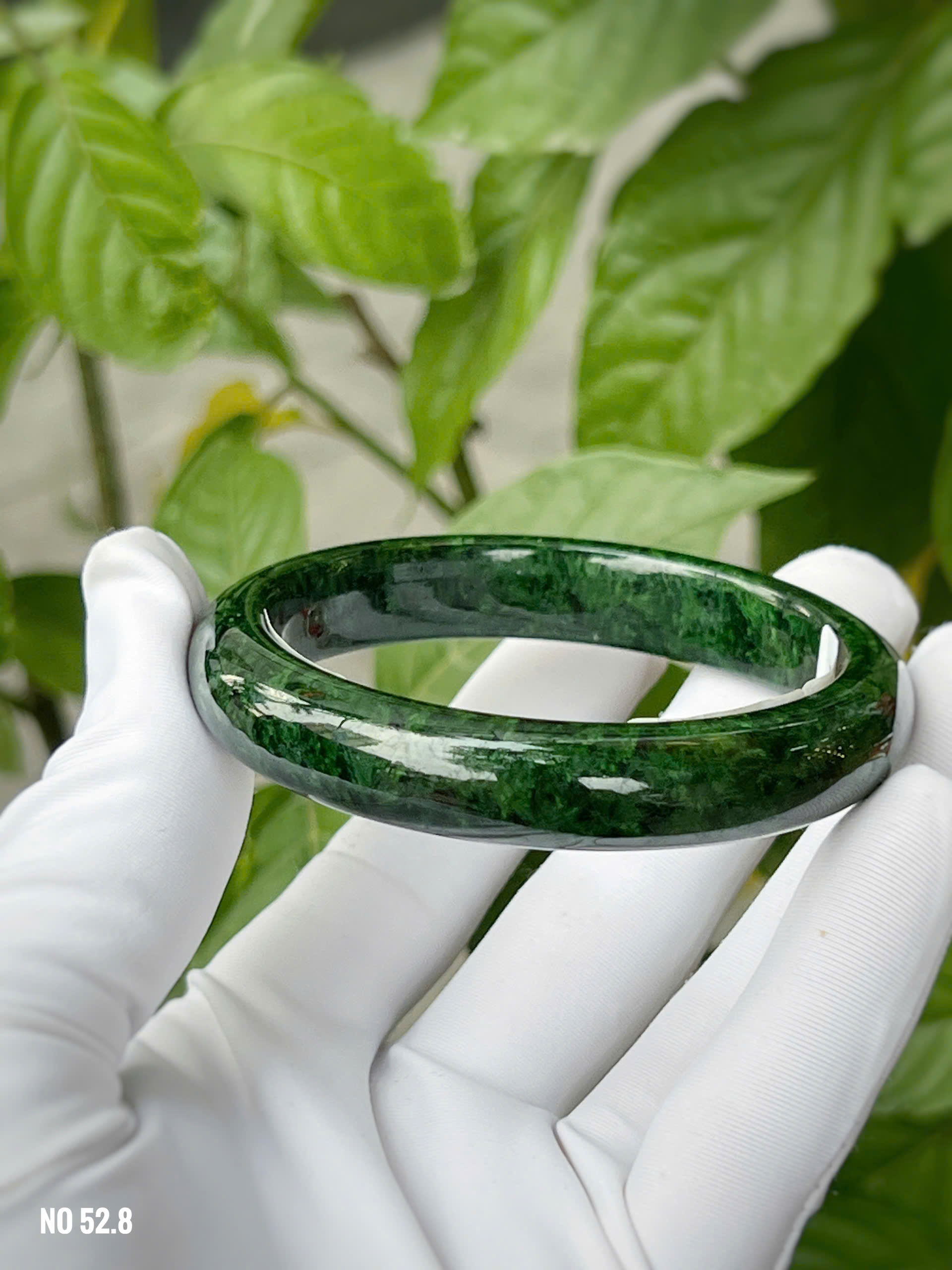 gen-h-z7294492082054_b585991f834e654967a5a8bdc49859f5