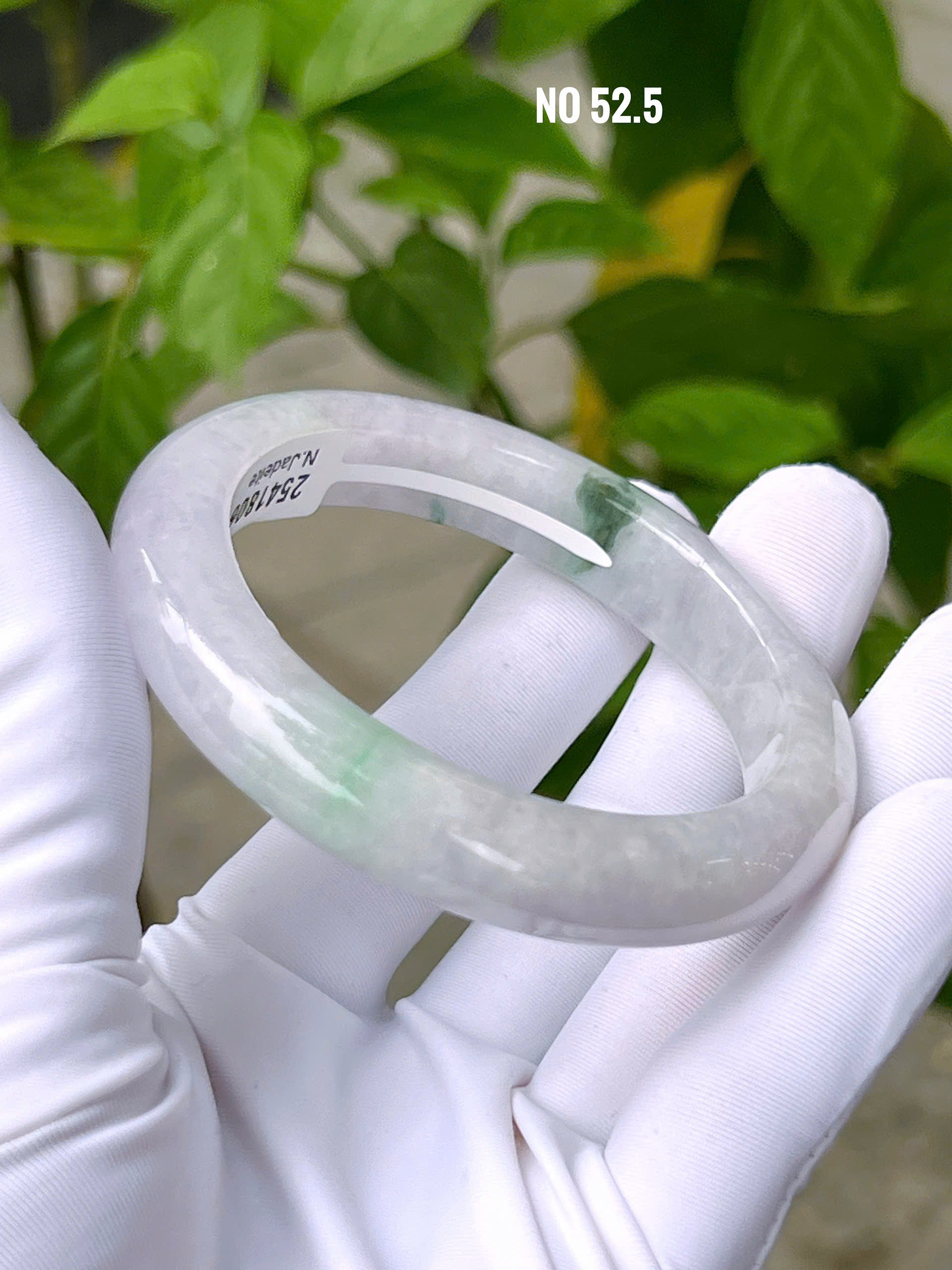 gen-h-z7298030571364_2e17fc212c2d529a72d376a08098f558