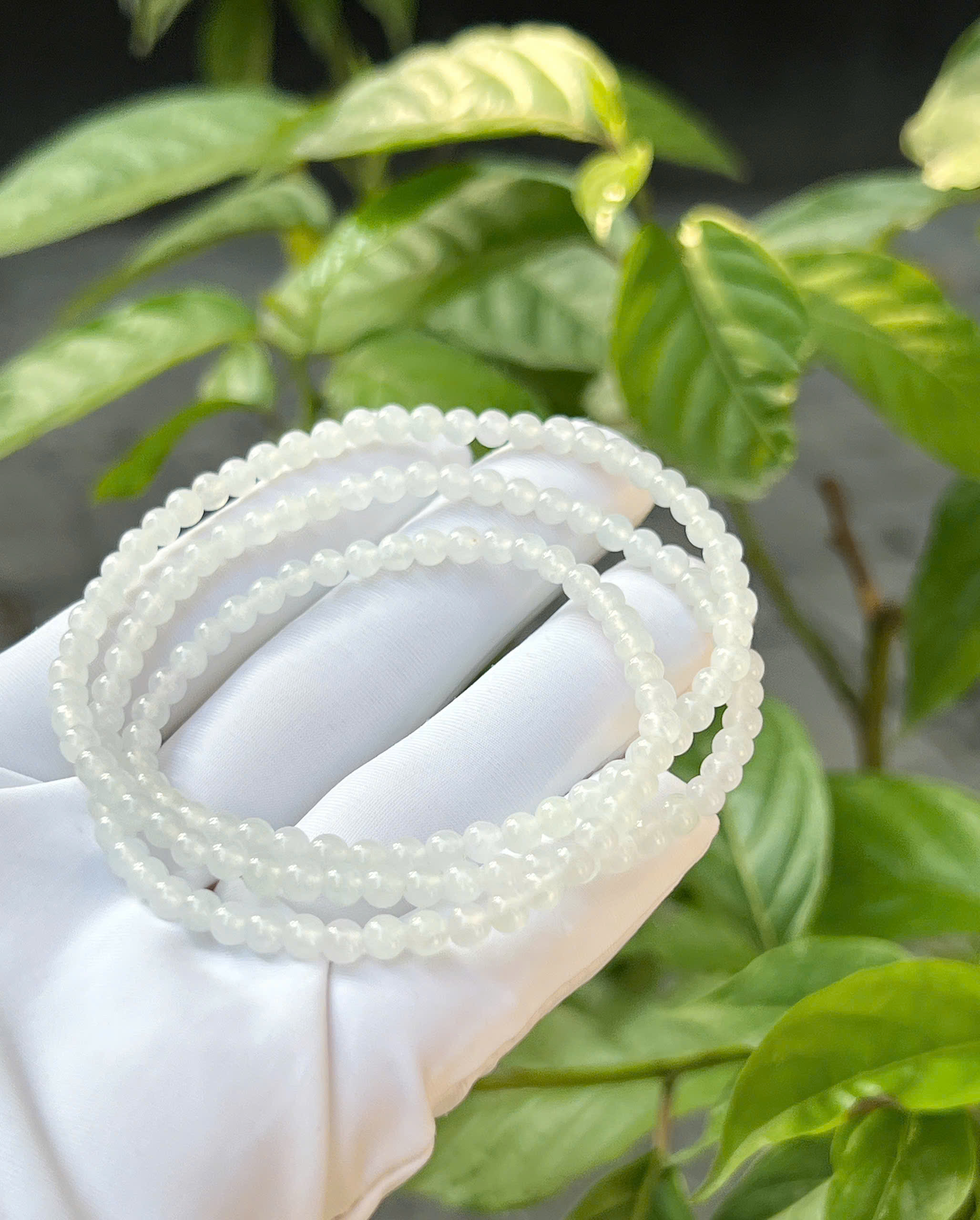 gen-h-z7331935725654_92adfb31d023e2b1287d59bc3088910a