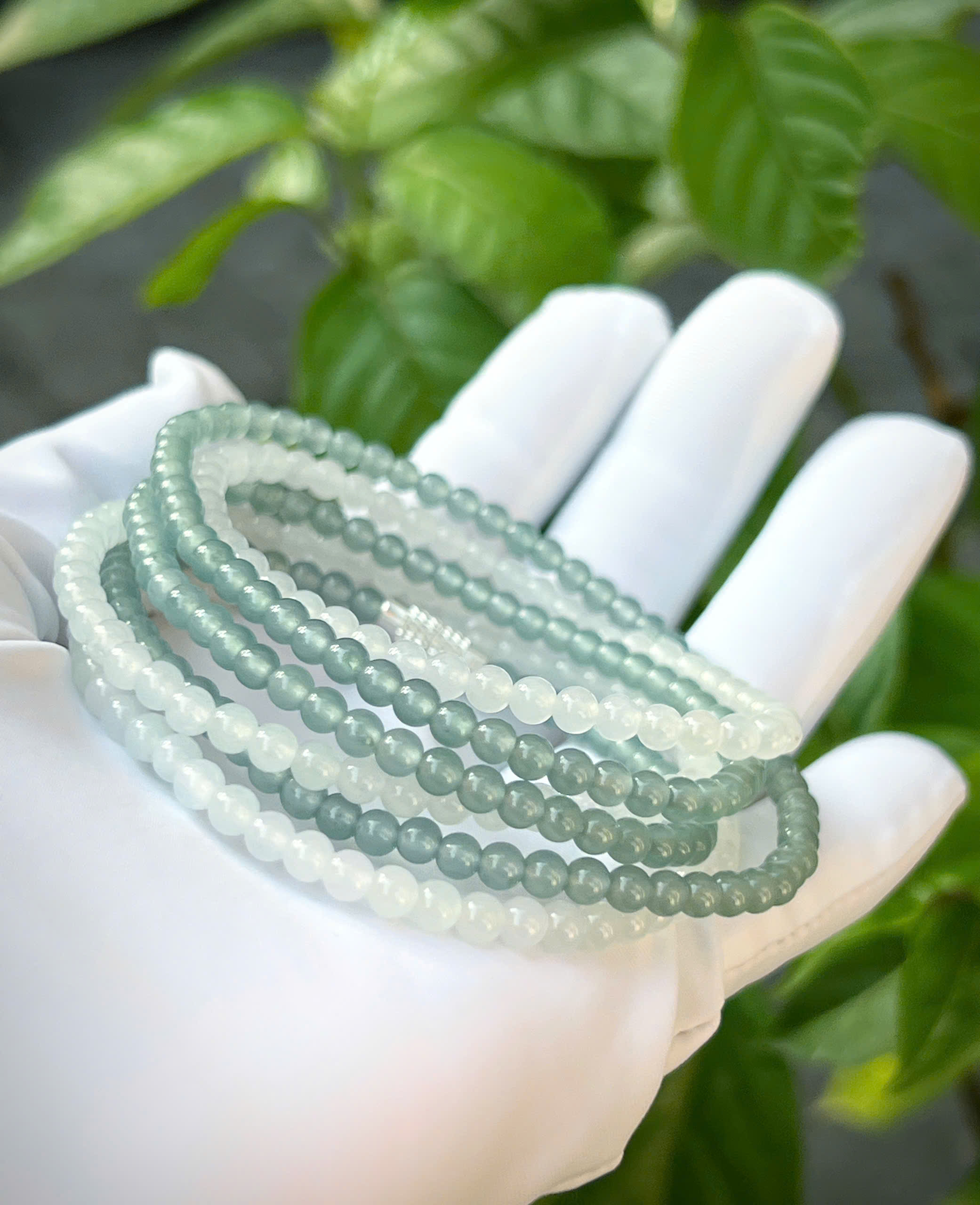 gen-h-z7331935720080_d7a4b2a50f01e2f0fa6fd0562d9ae6db