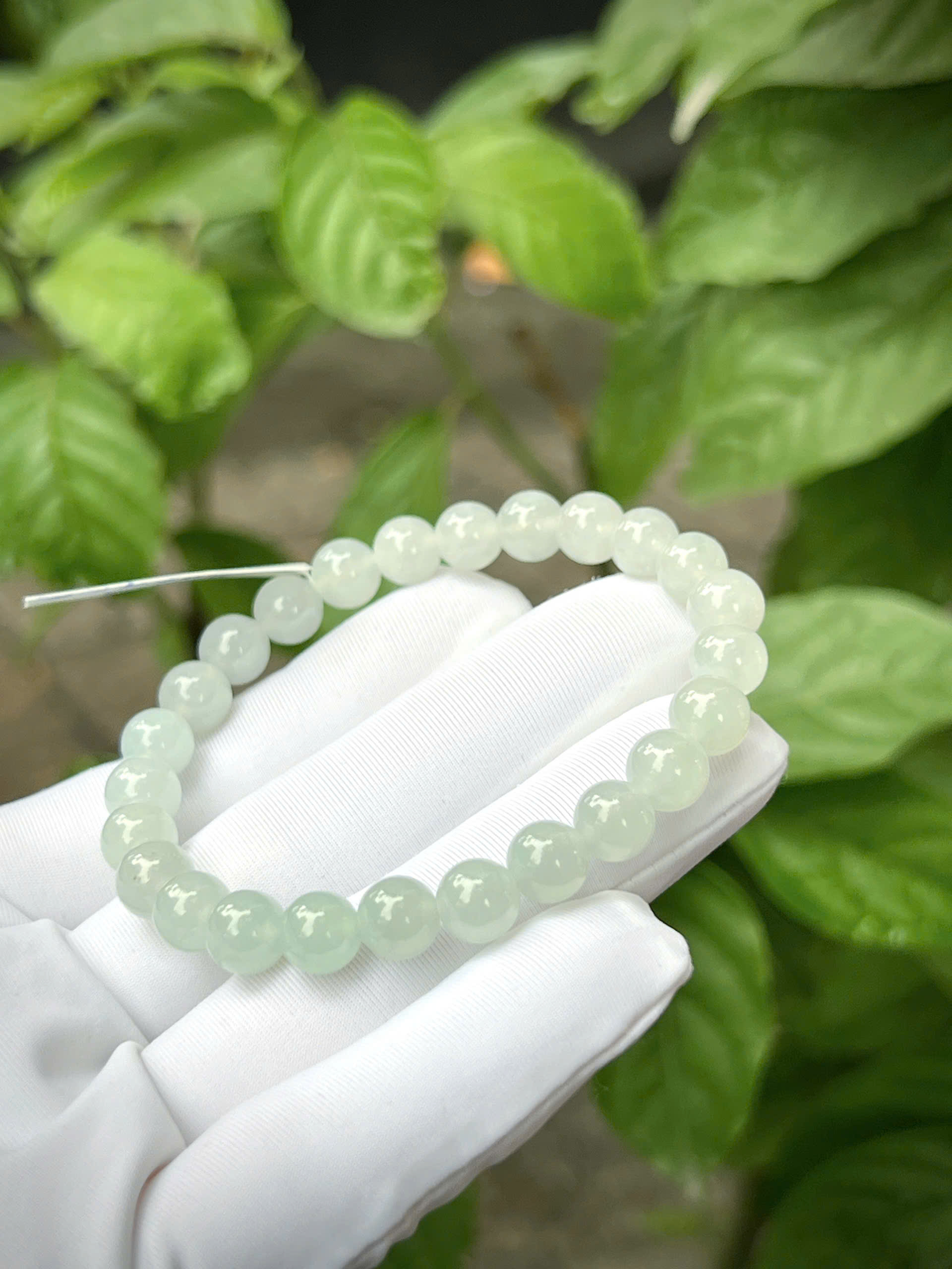 gen-h-z7328092359822_55d1eff9d95d6e12c3236e70c0590f0e