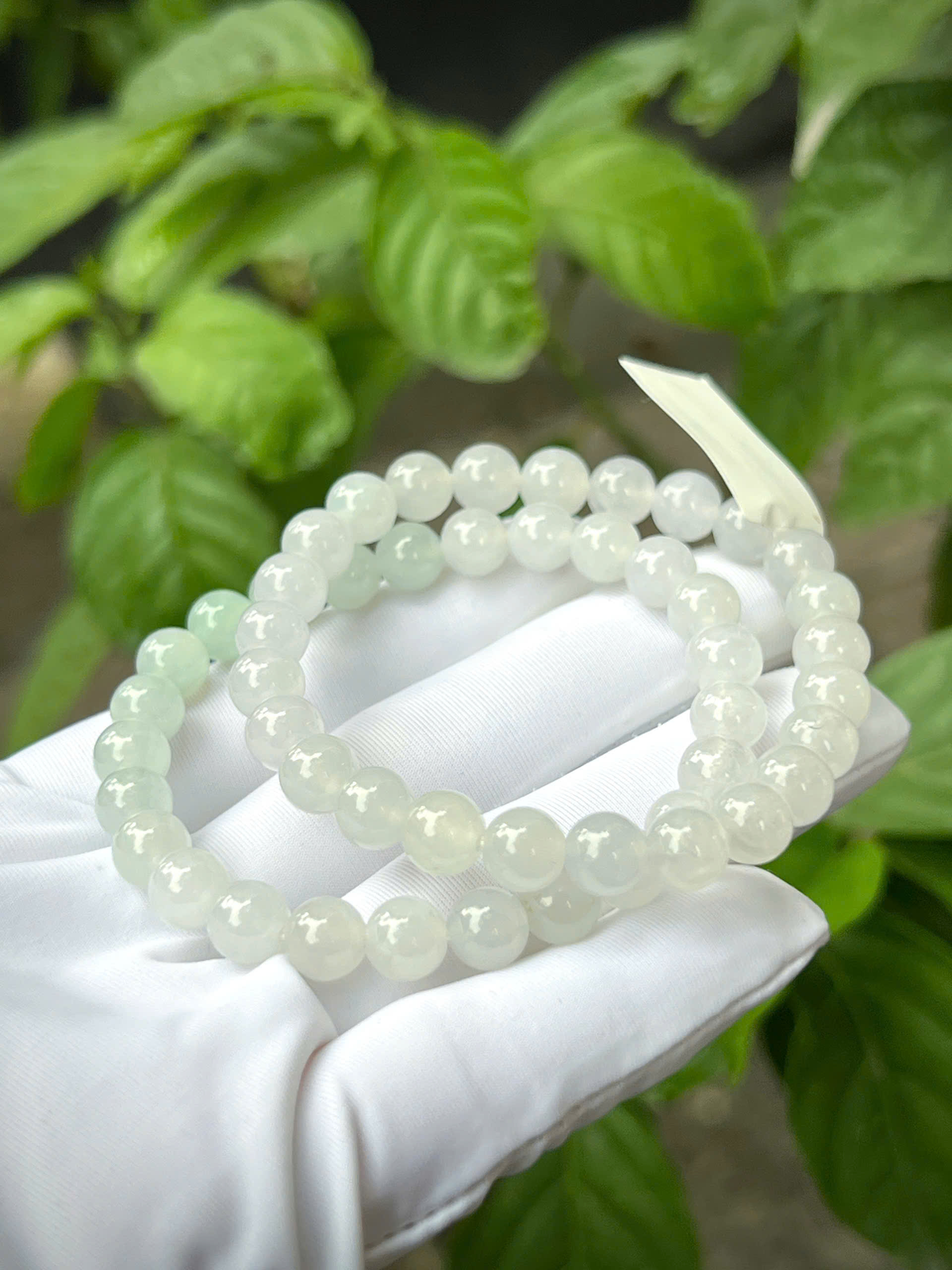 gen-h-z7328092369060_b03a67b59b35ae31fd7c9d143d384630