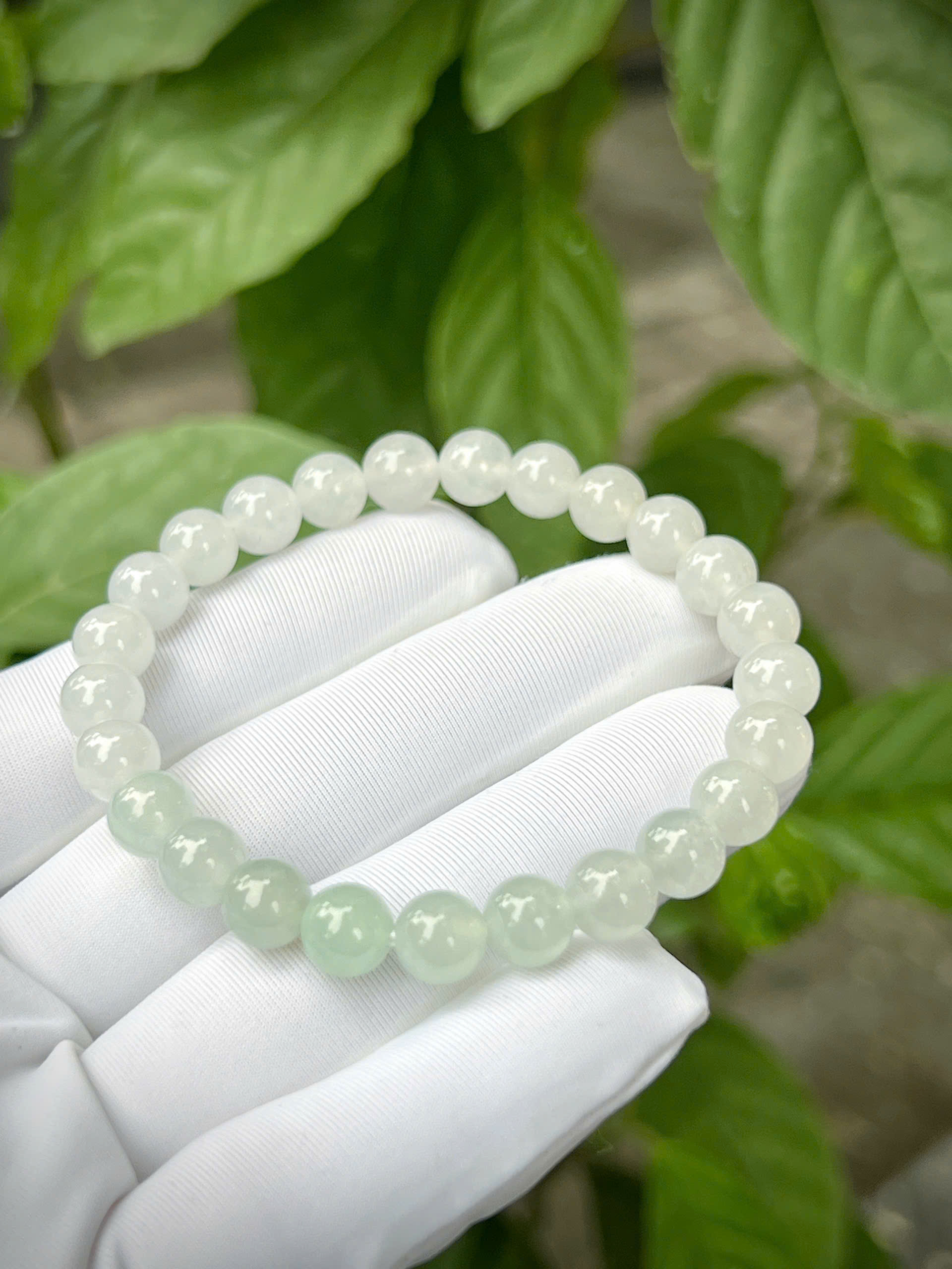 gen-h-z7328092381450_72c1fb7cc76c515187e43315ad4b6ed3