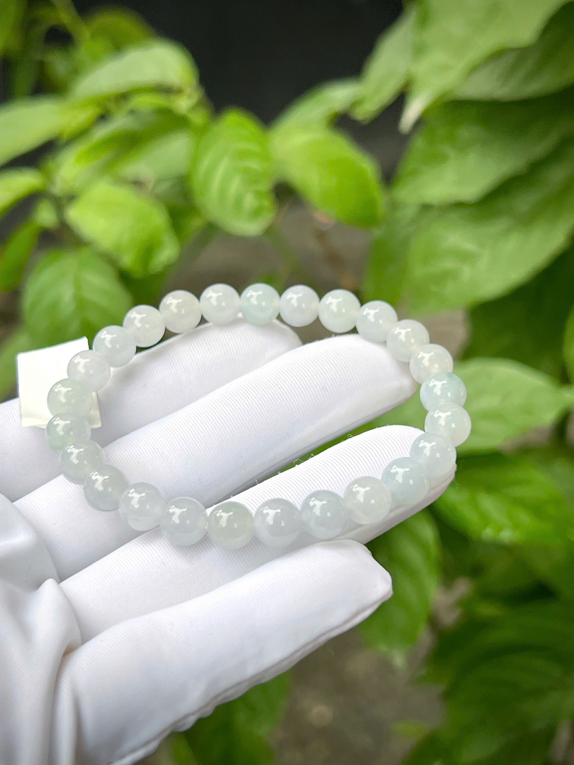 gen-h-z7328092388149_43f6a7e13a10c35e3beb16a81d7fda40