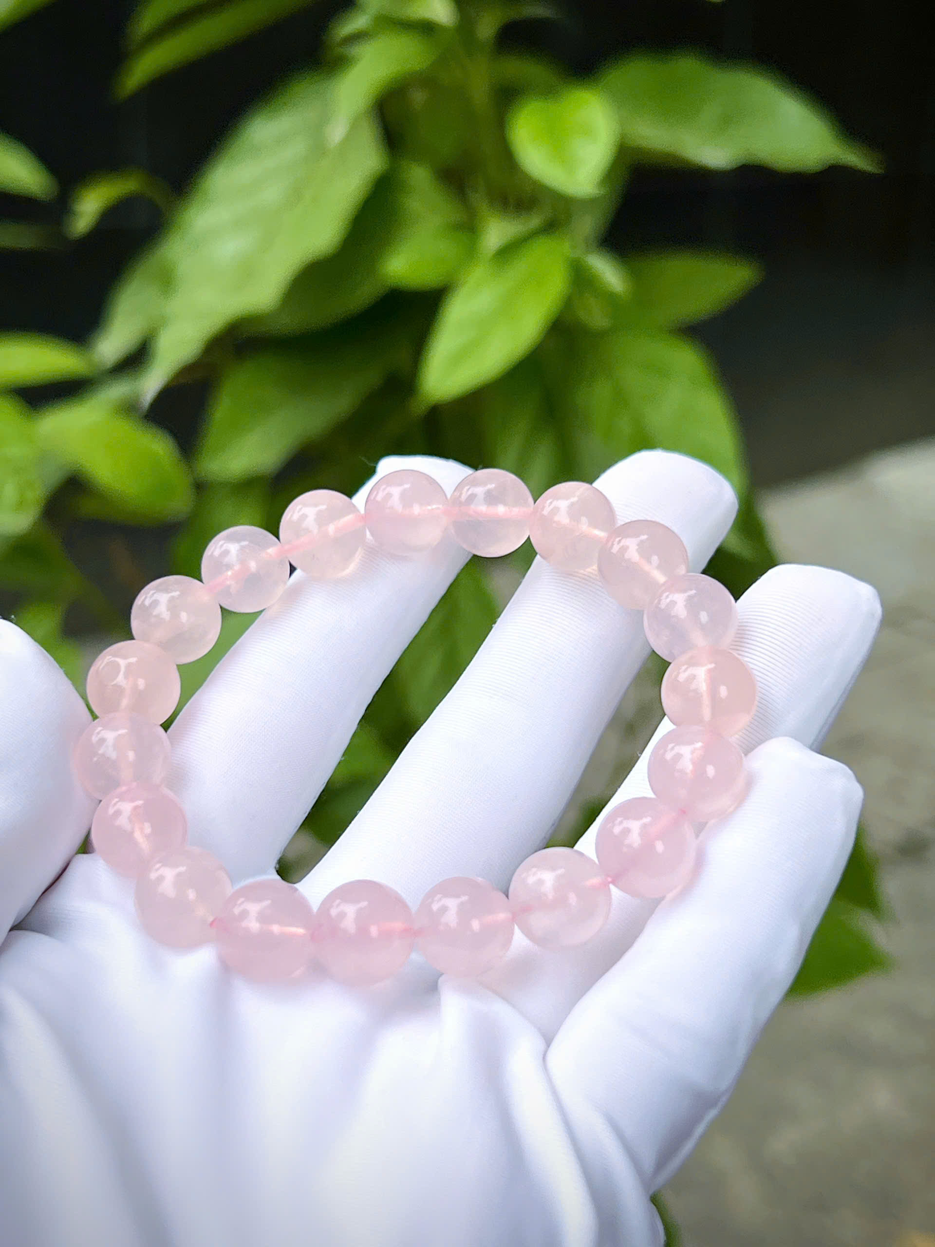 gen-h-z7335365314918_f25cb6712ed4aa25e0efd2e28587d234