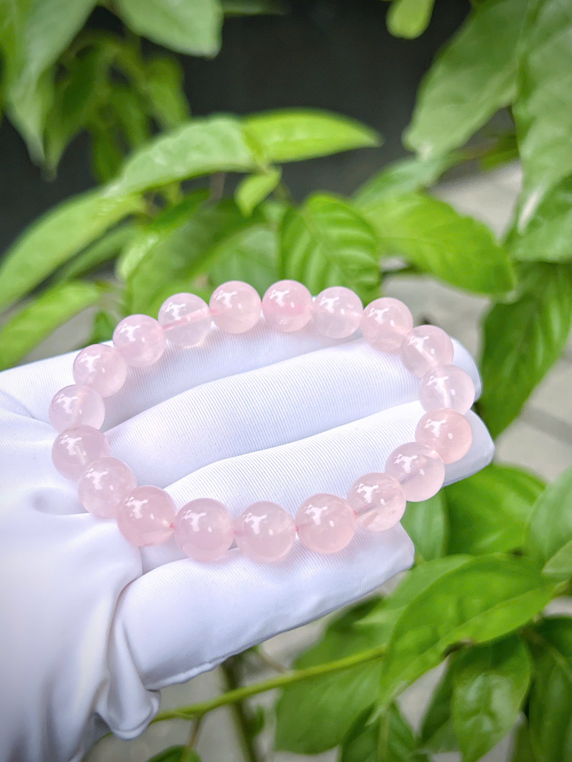 gen-h-z7335365327667_239c61e132127529854e76e86eb272eb