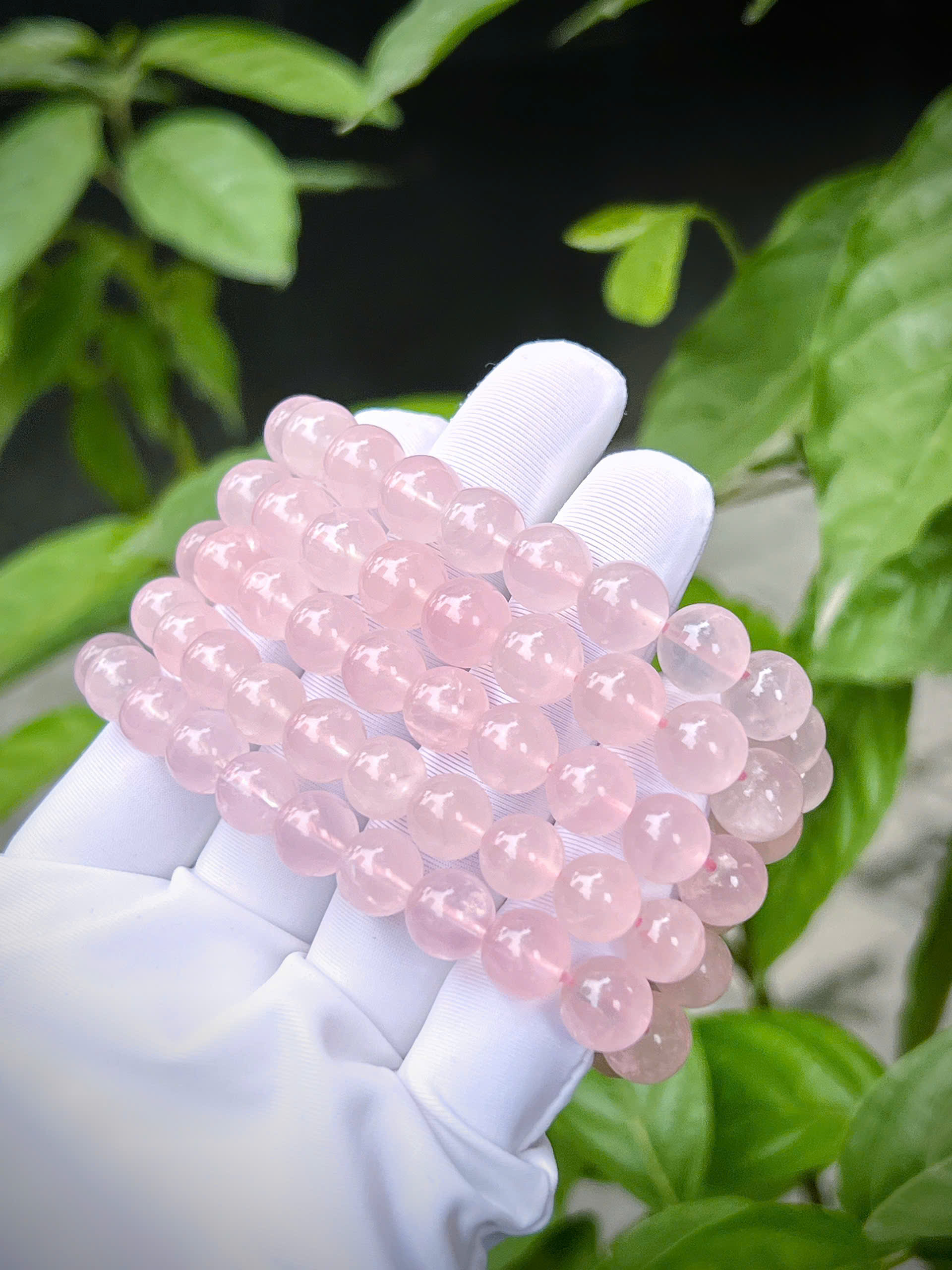 gen-h-z7335365344144_a3c75c628d010e40de5da8a31c928b79