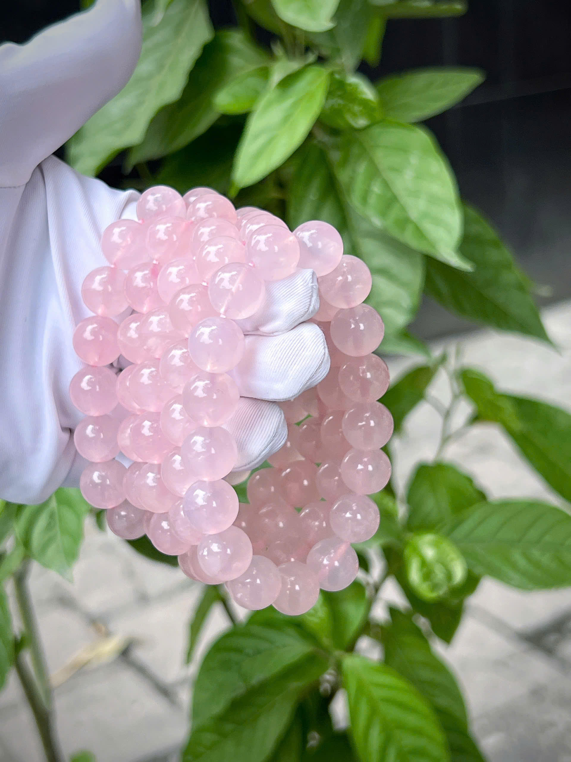 gen-h-z7335365351505_b6e6a06898185964c582e271a9480840