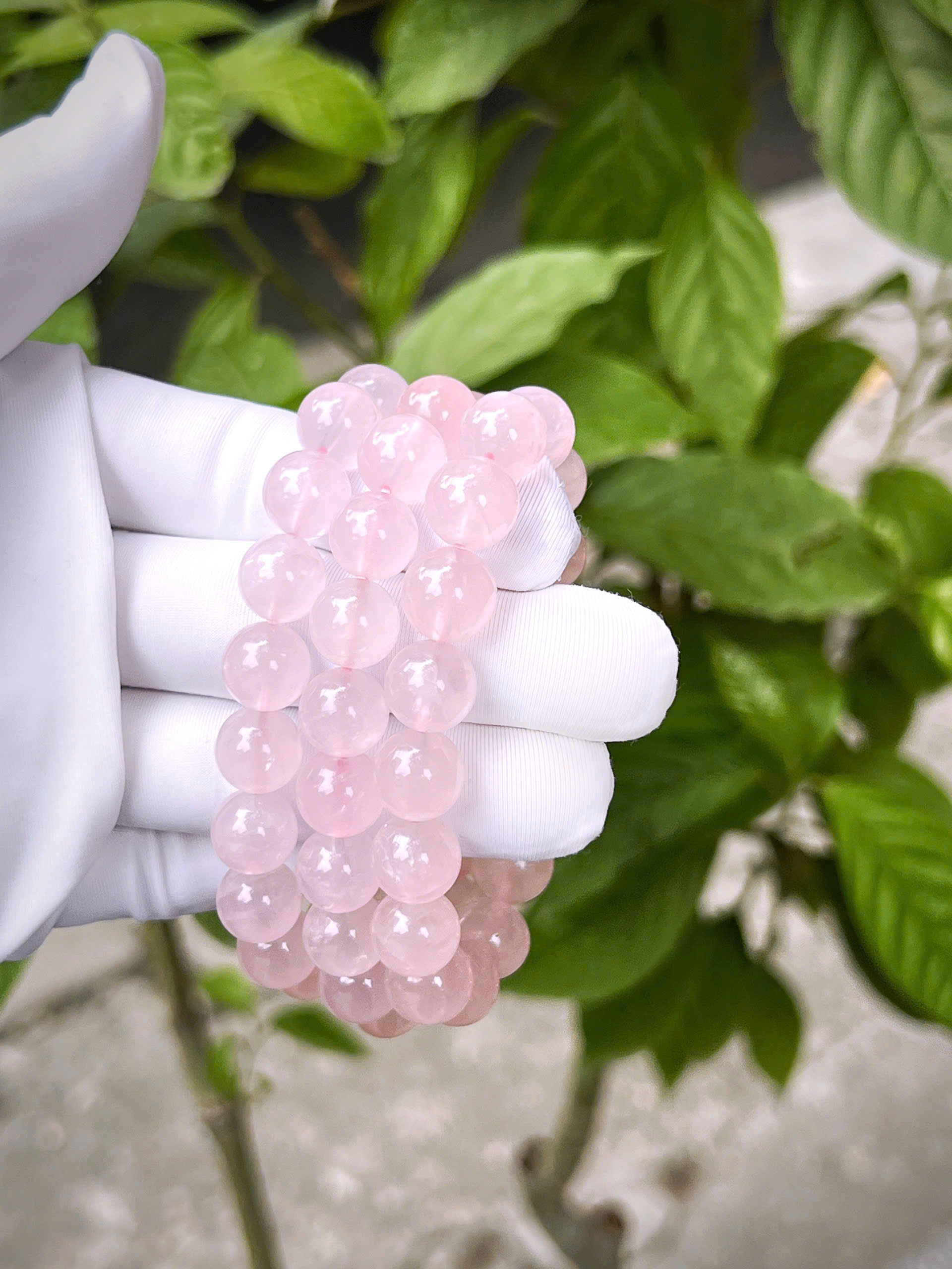 gen-h-z7335365380724_55d20f72eb25b9e6a20660c87e8f620d