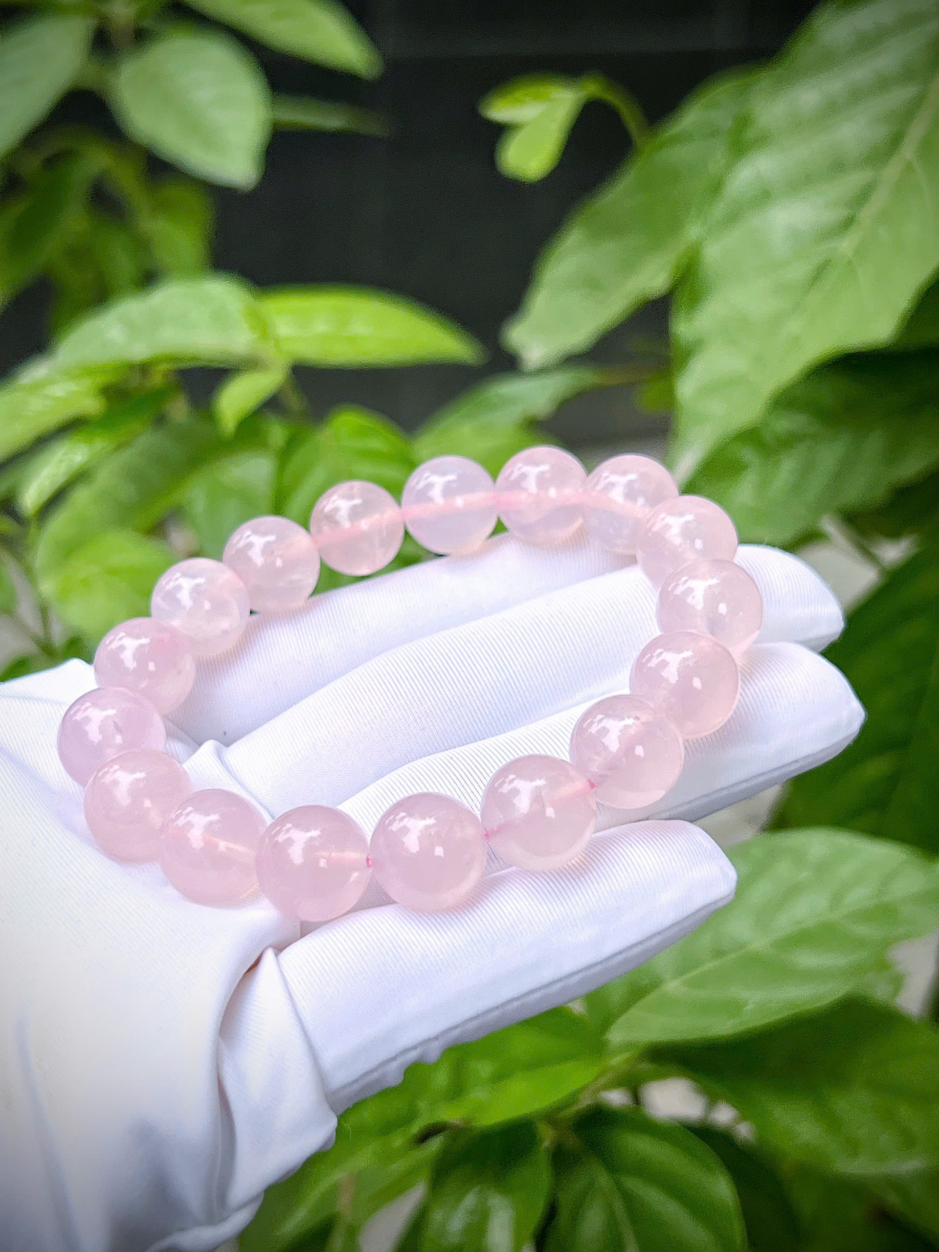 gen-h-z7335365388580_14ce5672b77023d3bef3c61bddd59d46