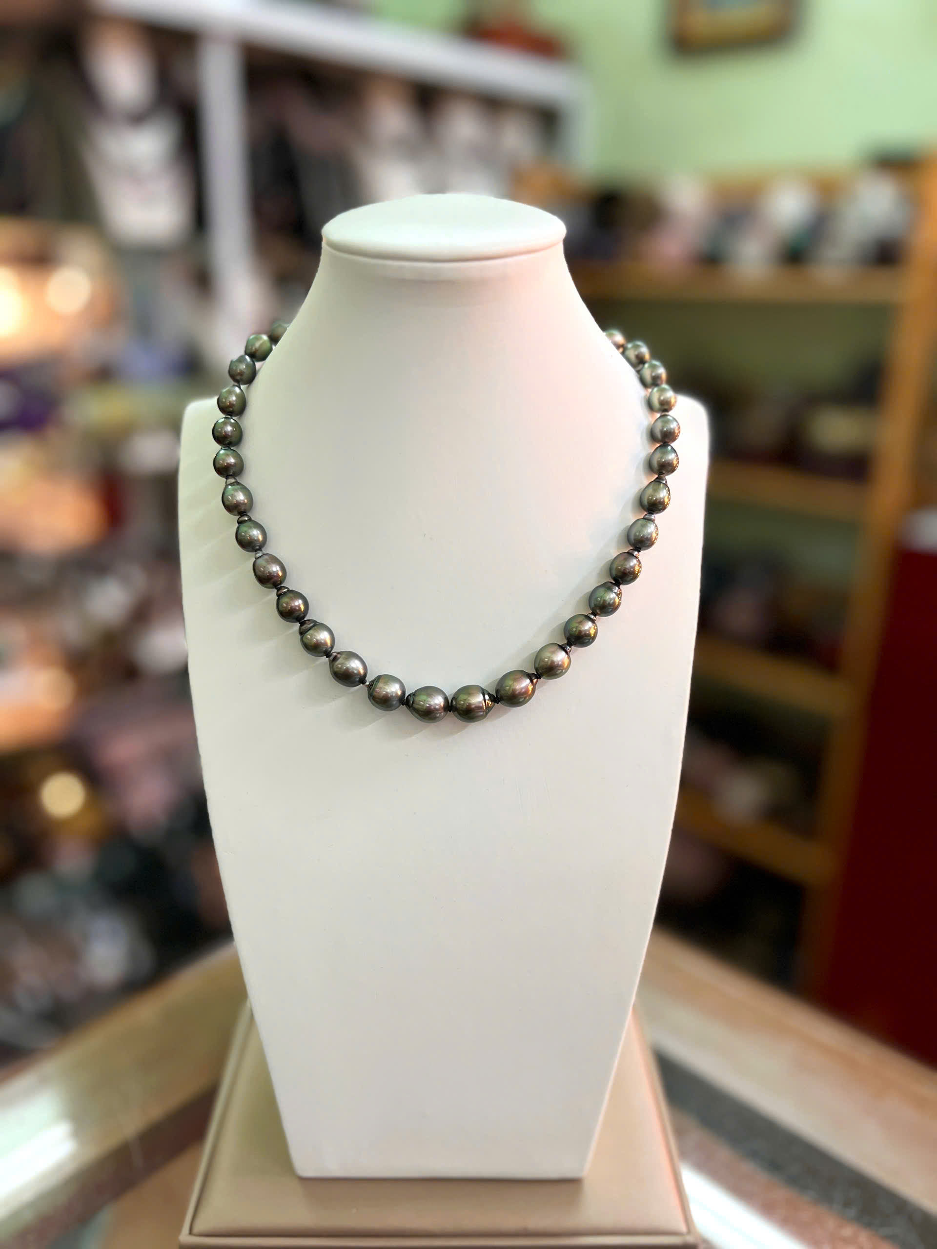 gen-h-z7342446977639_f6517eb63e0665979636536c99a3d807