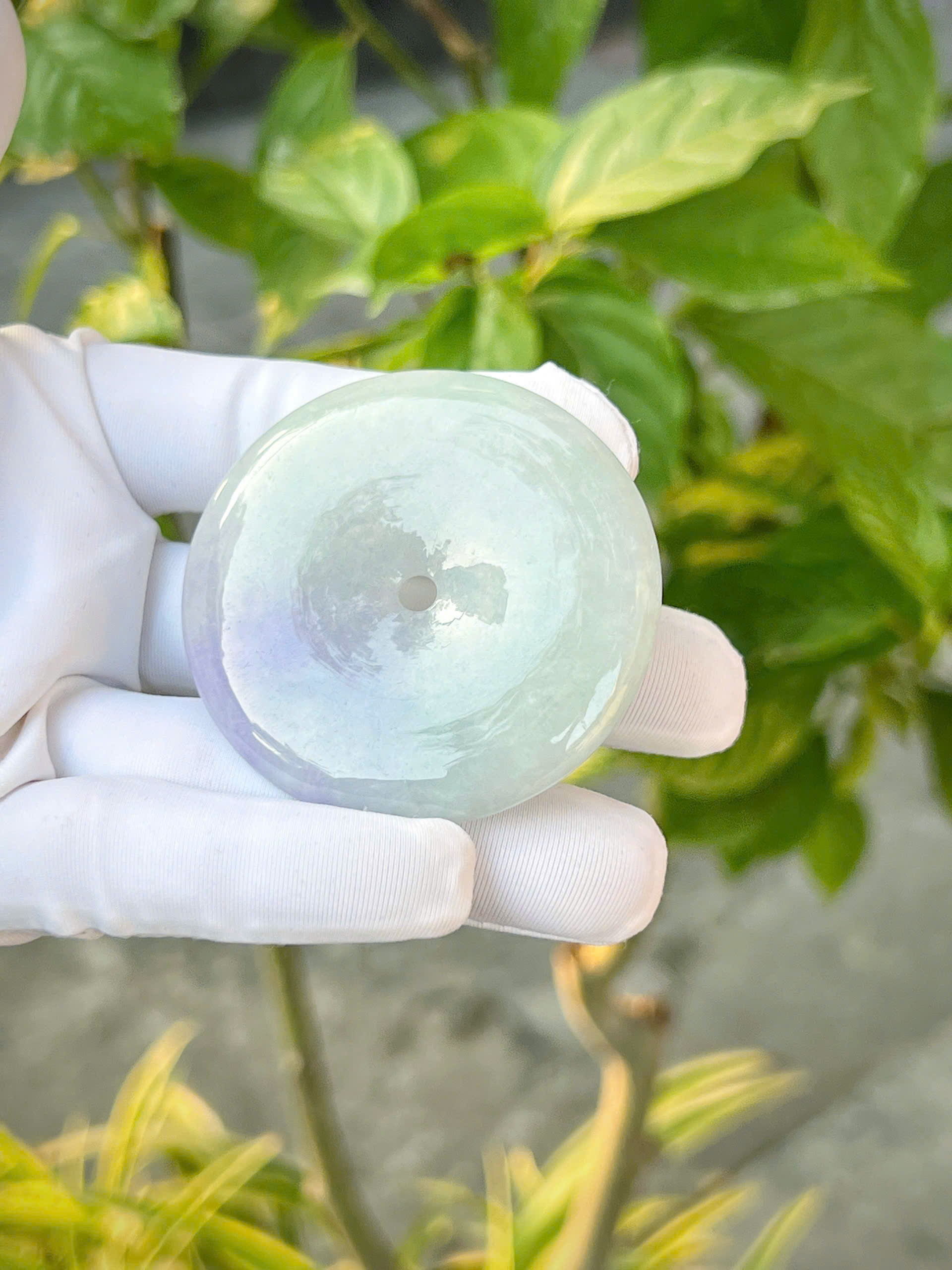 gen-h-z7345974720169_154eee84a556c18bb3bcac9d989027b1