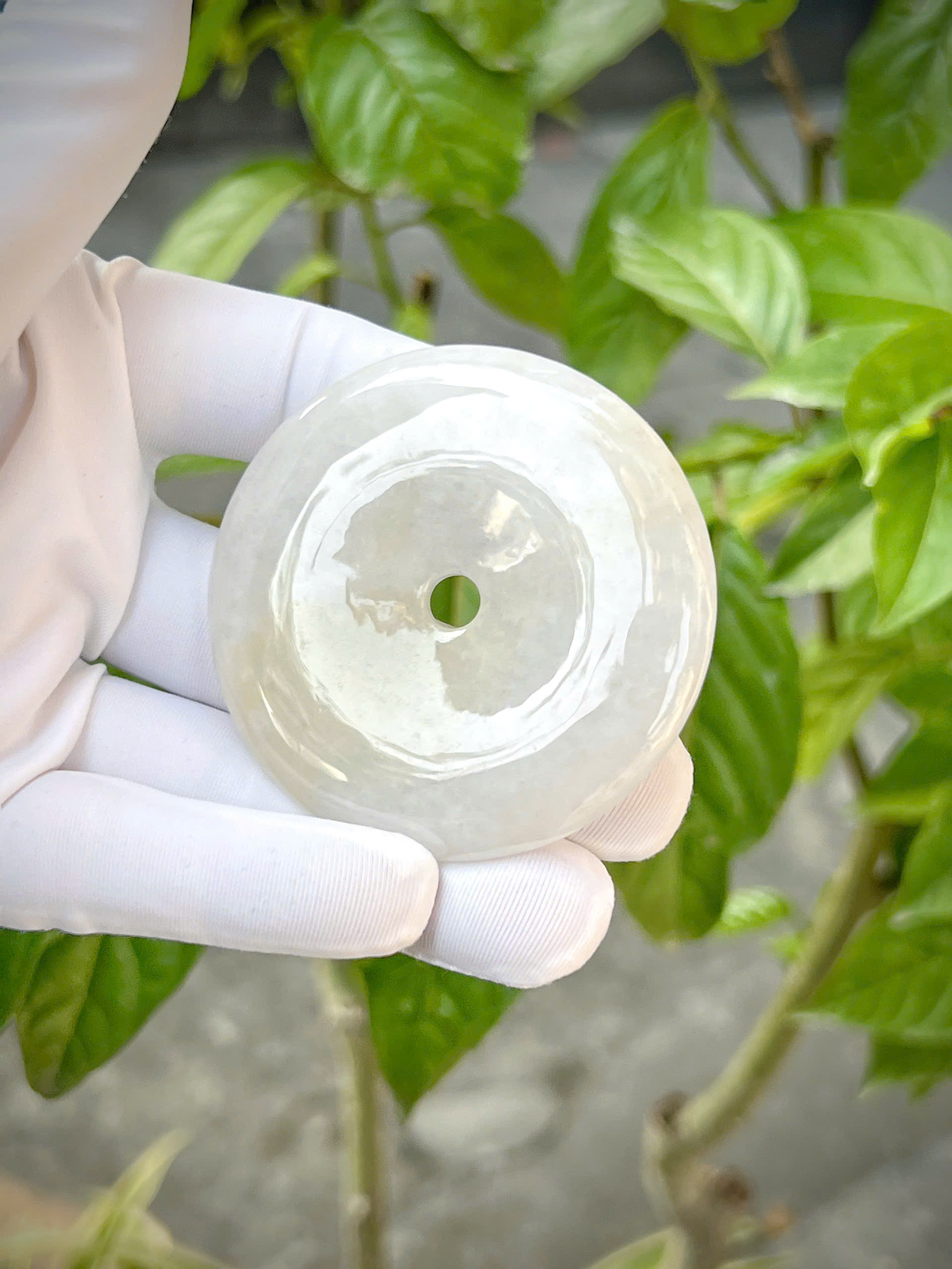 gen-h-z7345974791557_63ca59f4ef18db232673a267e28c70cc