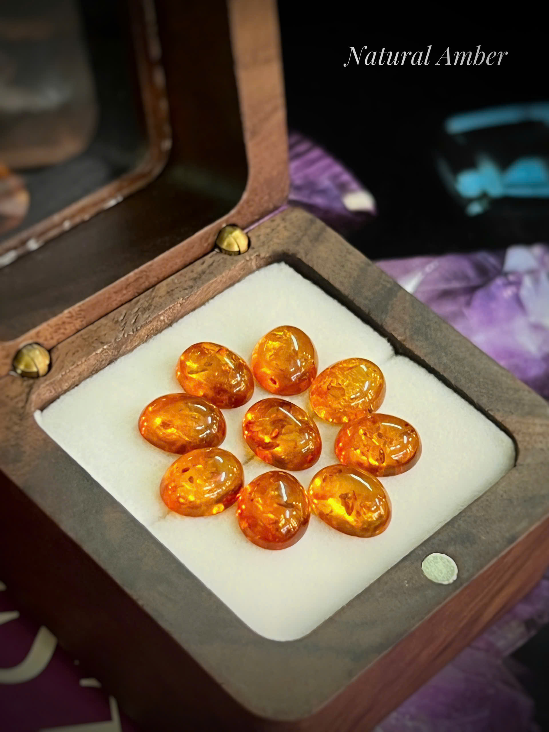 HỔ PHÁCH BALTIC TỰ NHIÊN