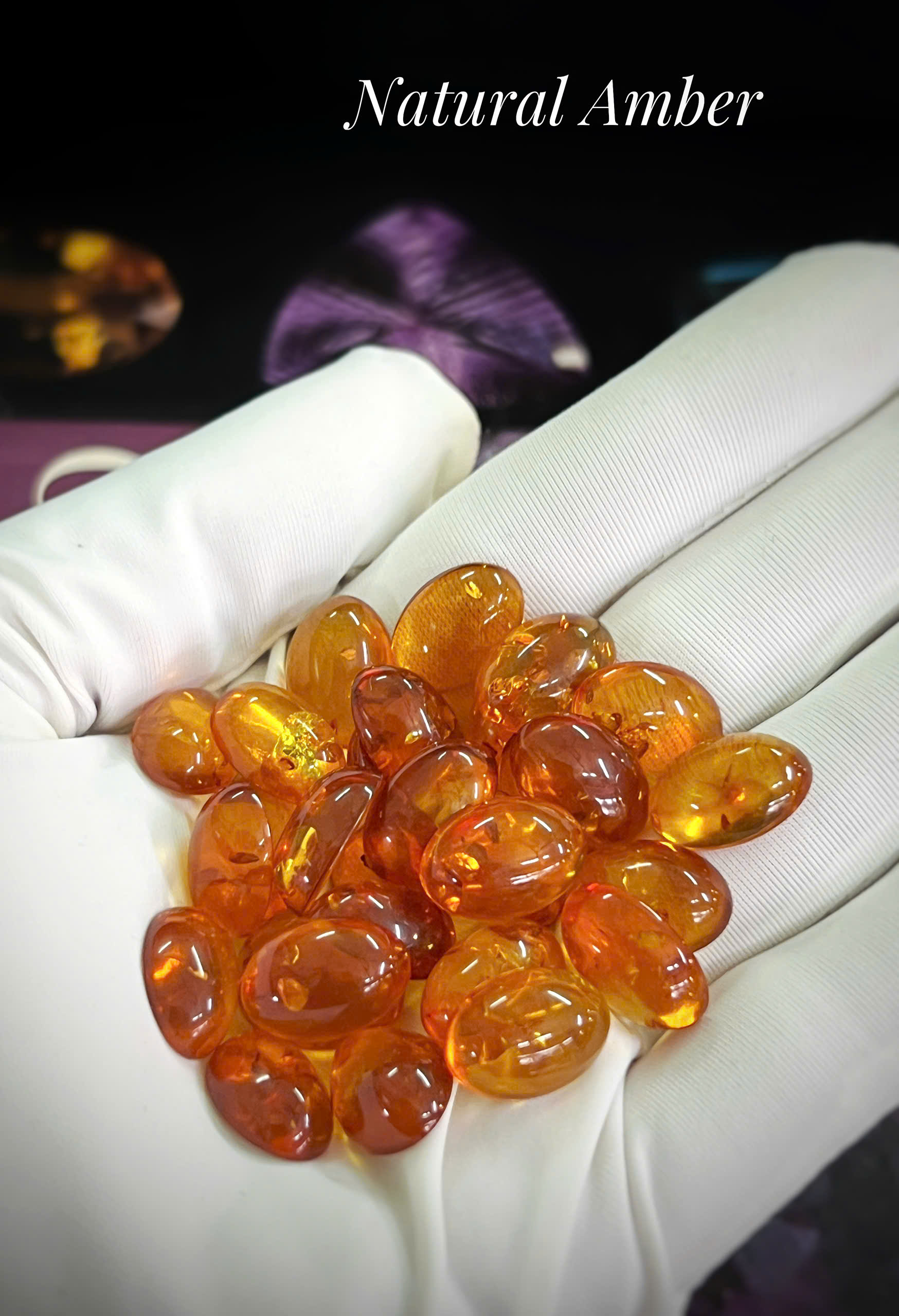 gen-h-z7355754696566_fd695732b0171675f49974b64cd9e8bf