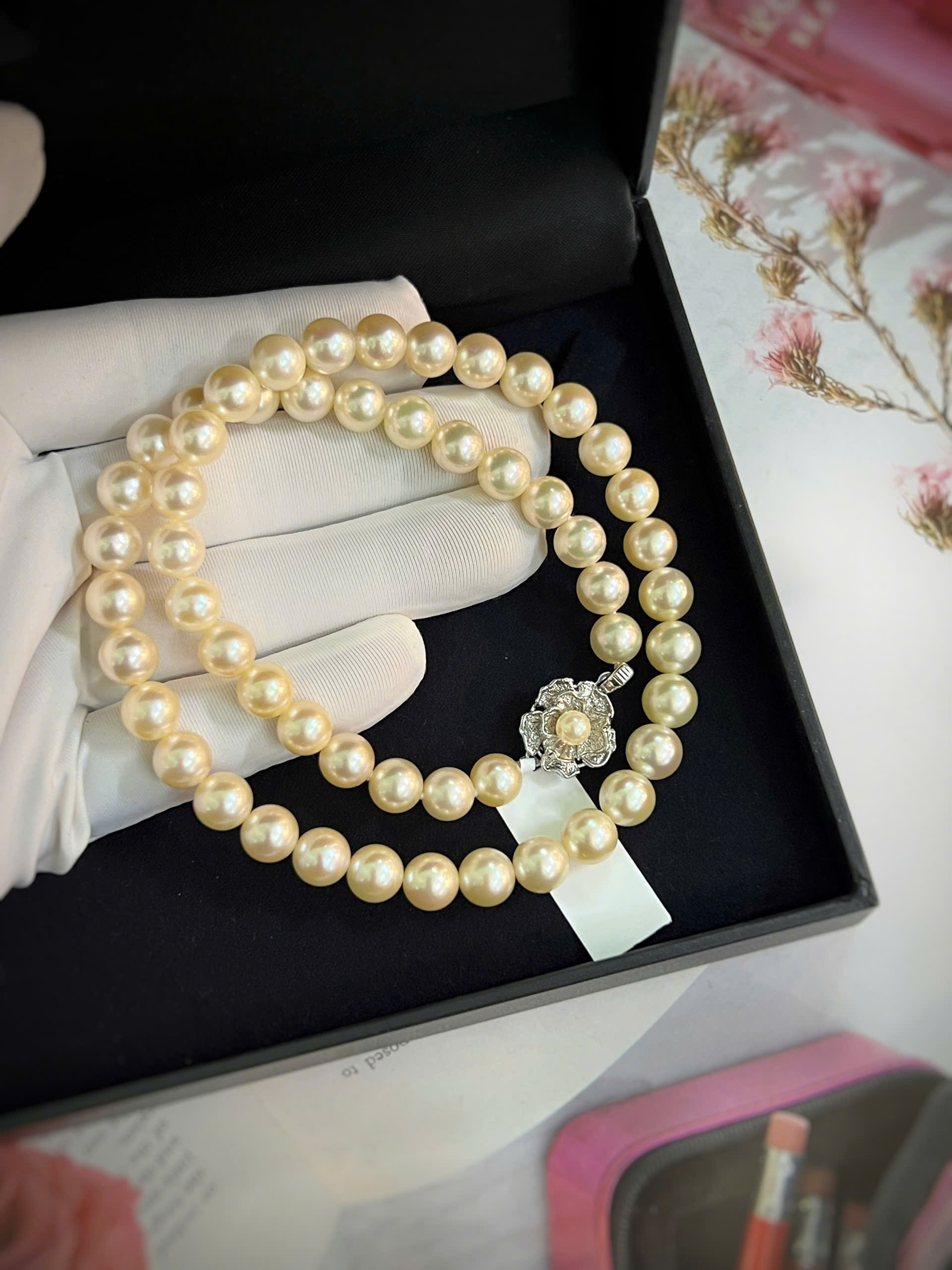 gen-h-z7392634831995_f90382fb5c324c86be2e919ef4ea1f1f