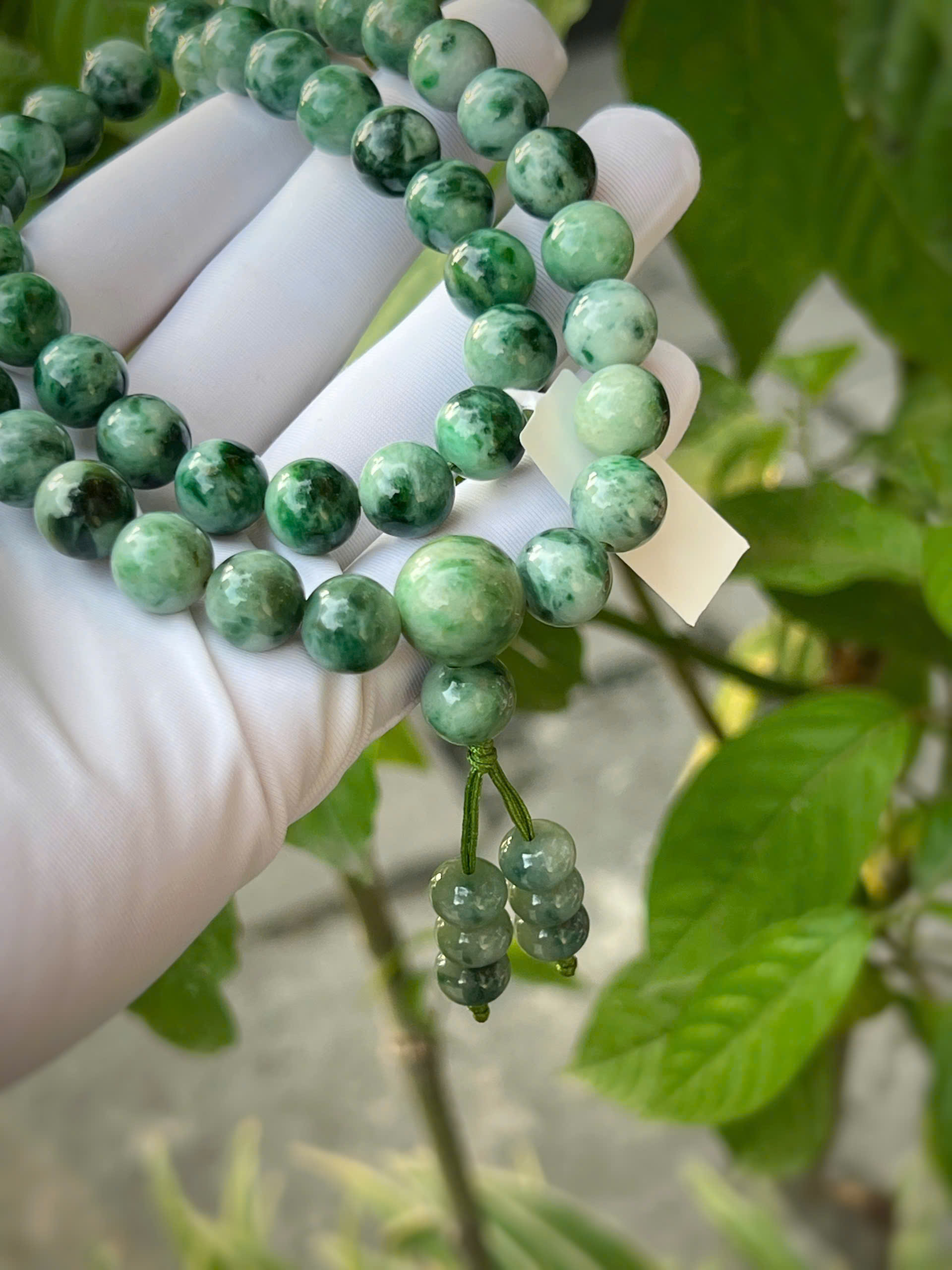 gen-h-z7452531519978_21d8a104df71be3309ef8b8e65c2184a