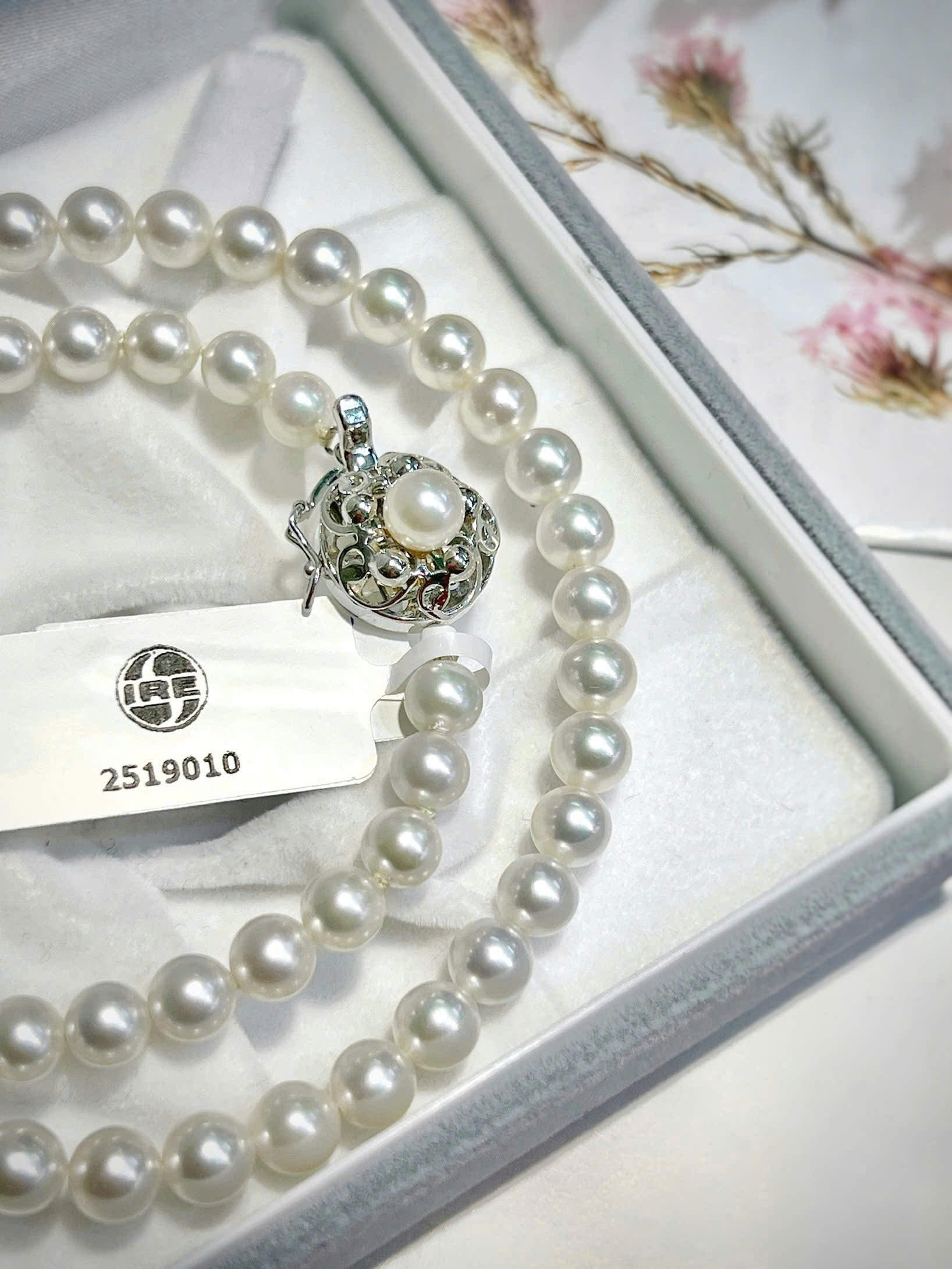 gen-h-z7475671052711_656efc04ef1523abf226b9ea66dc4abf