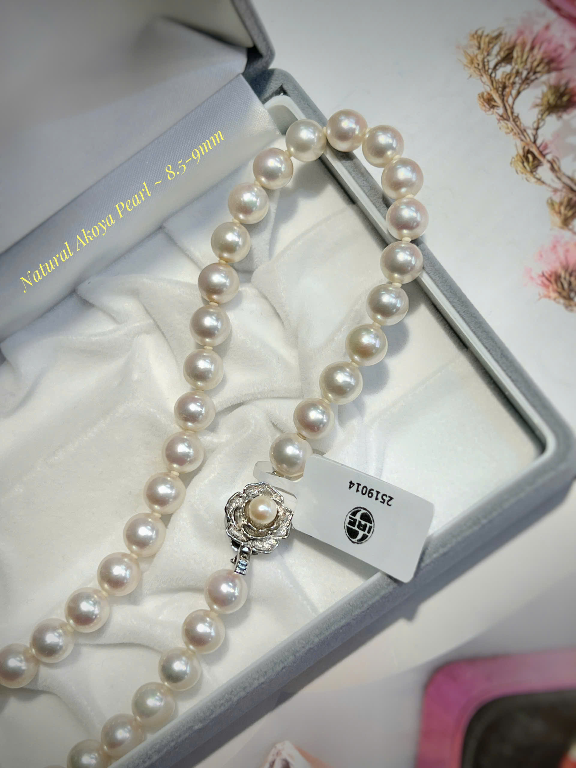 gen-h-z7475678247856_3a32c4a348c1629b359b65d1fa3d4f6d