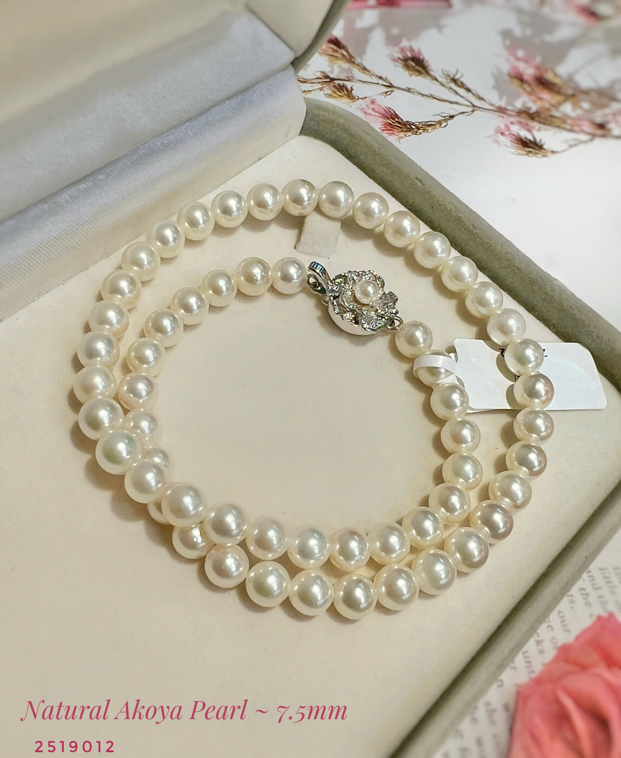 gen-h-z7475661608416_2f0995094dde37990b0102e510ae8232