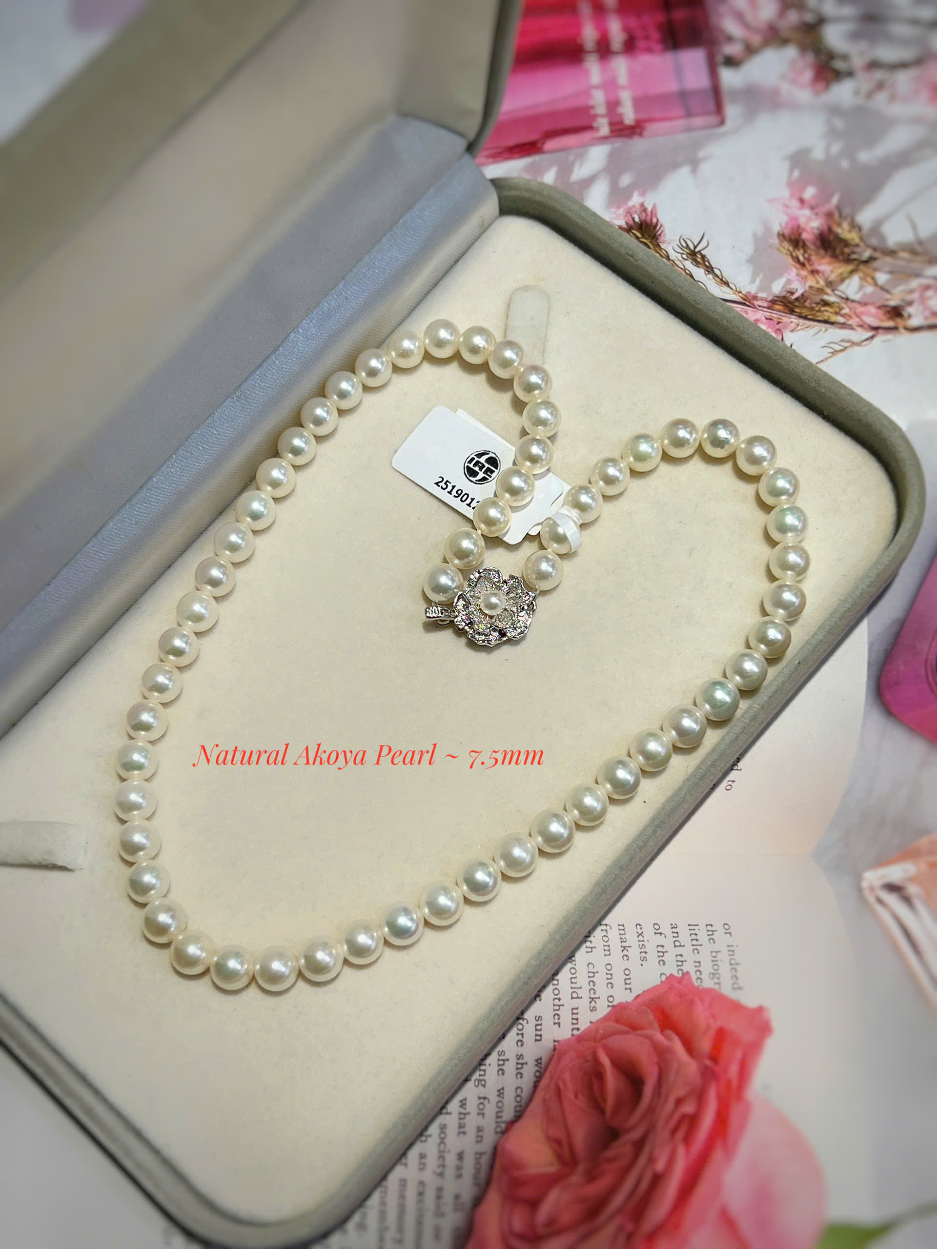 gen-h-z7475661613124_8d5956b1d5e25709c21cc2335cdce12e