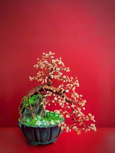 CÂY PHONG THỦY ĐÁ MOONSTONE TỰ NHIÊN