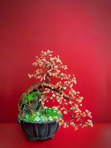 CÂY PHONG THỦY ĐÁ MOONSTONE TỰ NHIÊN