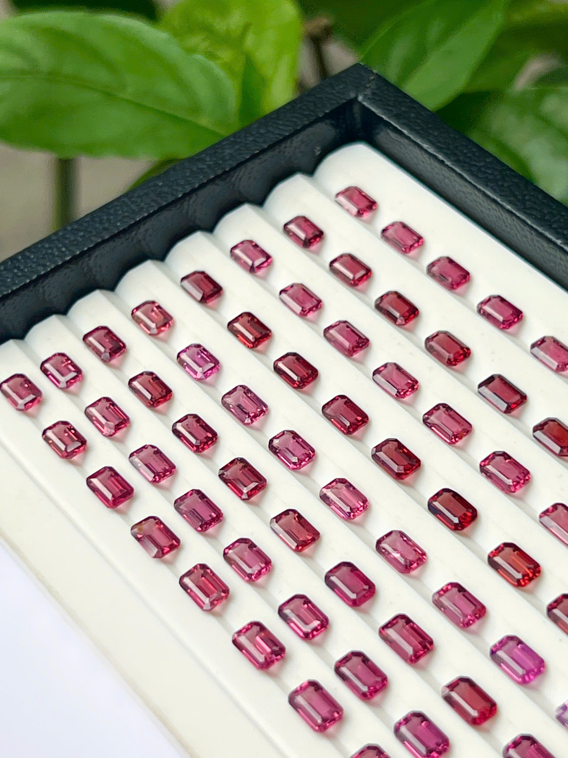 gen-h-z7682860705812_4ee050c2f410be5194de0d0fa78fdc43