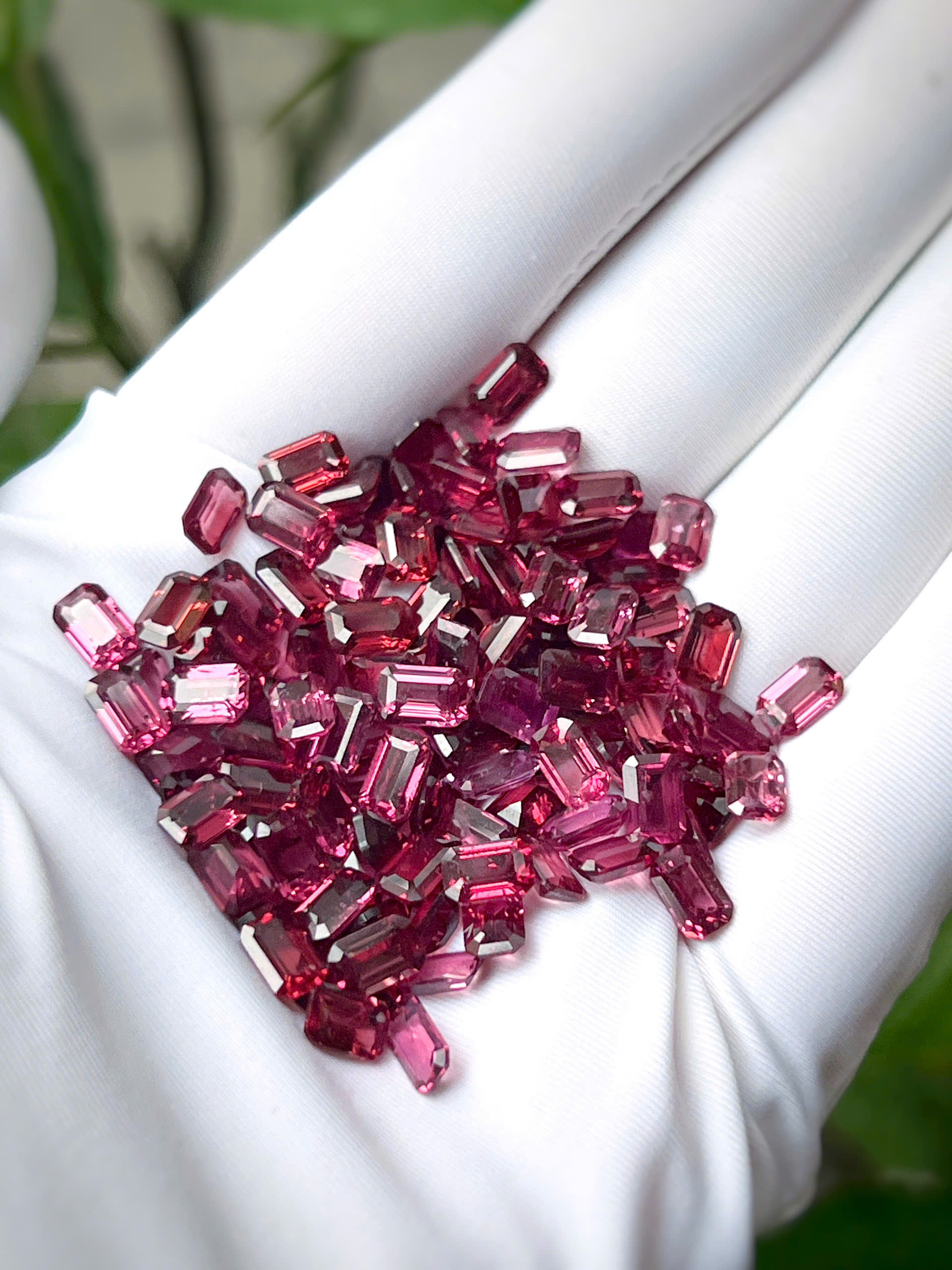 gen-h-z7682860700467_e140e9f87cea35a7b4cefdfef3d08c77