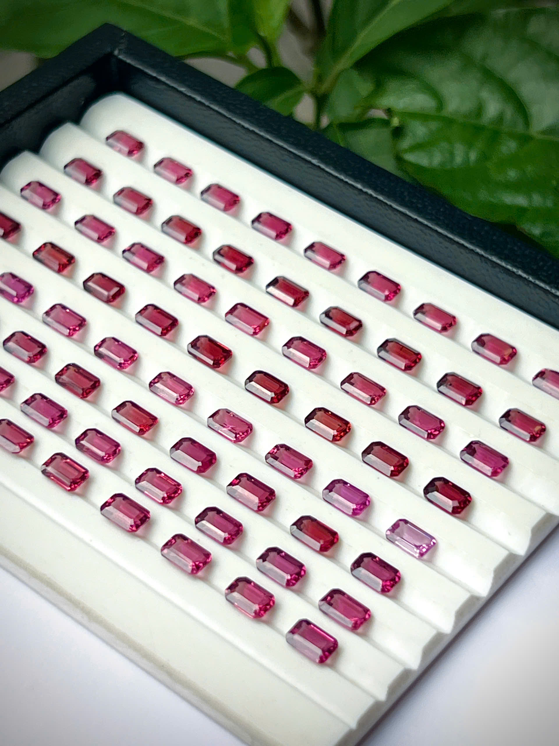 gen-h-z7682860714272_01f711d10df787900554c55b83a7a4cb