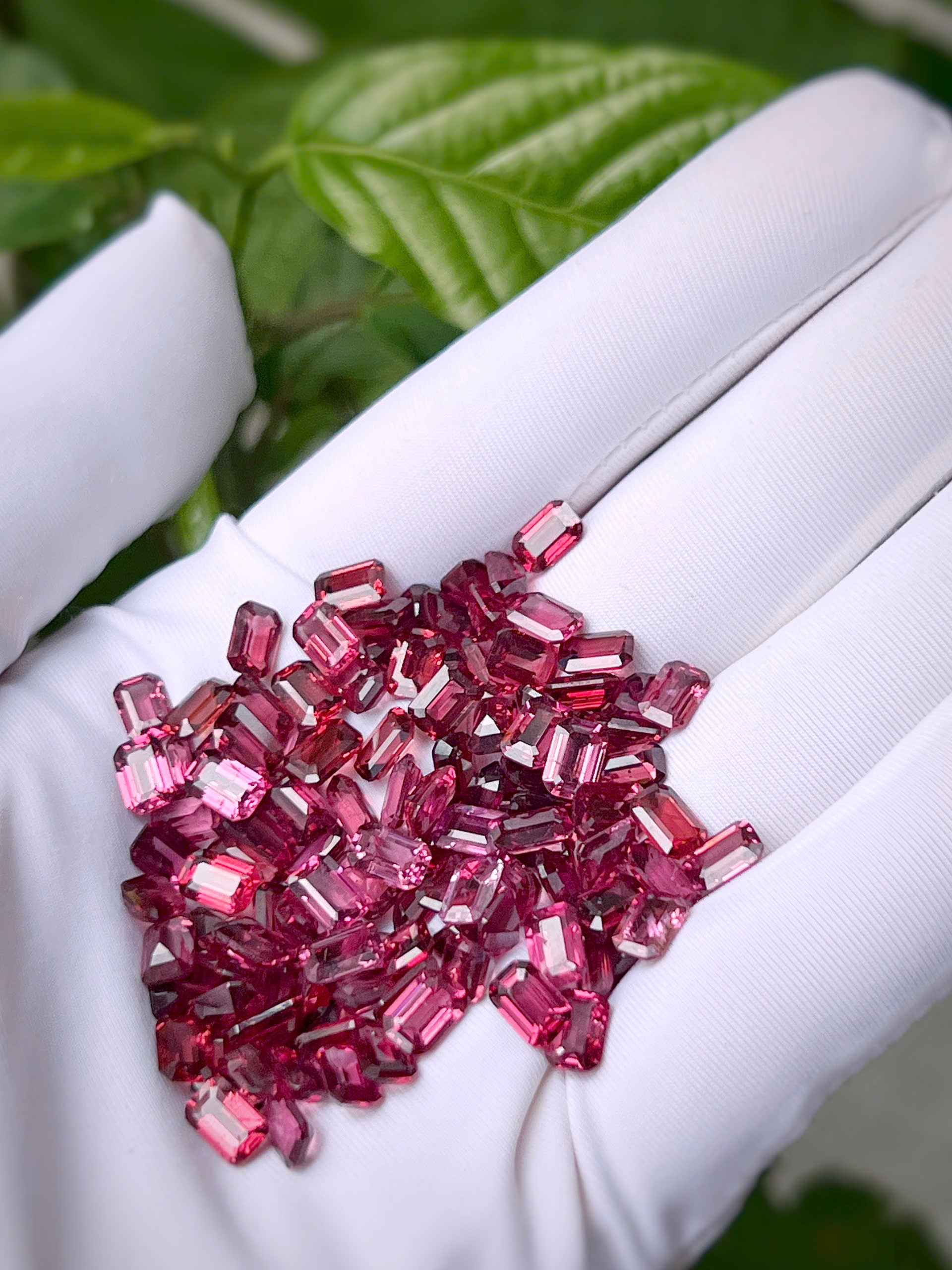 gen-h-z7682860683005_3cbbce0bb78ba5d194b19b0e1626ebad