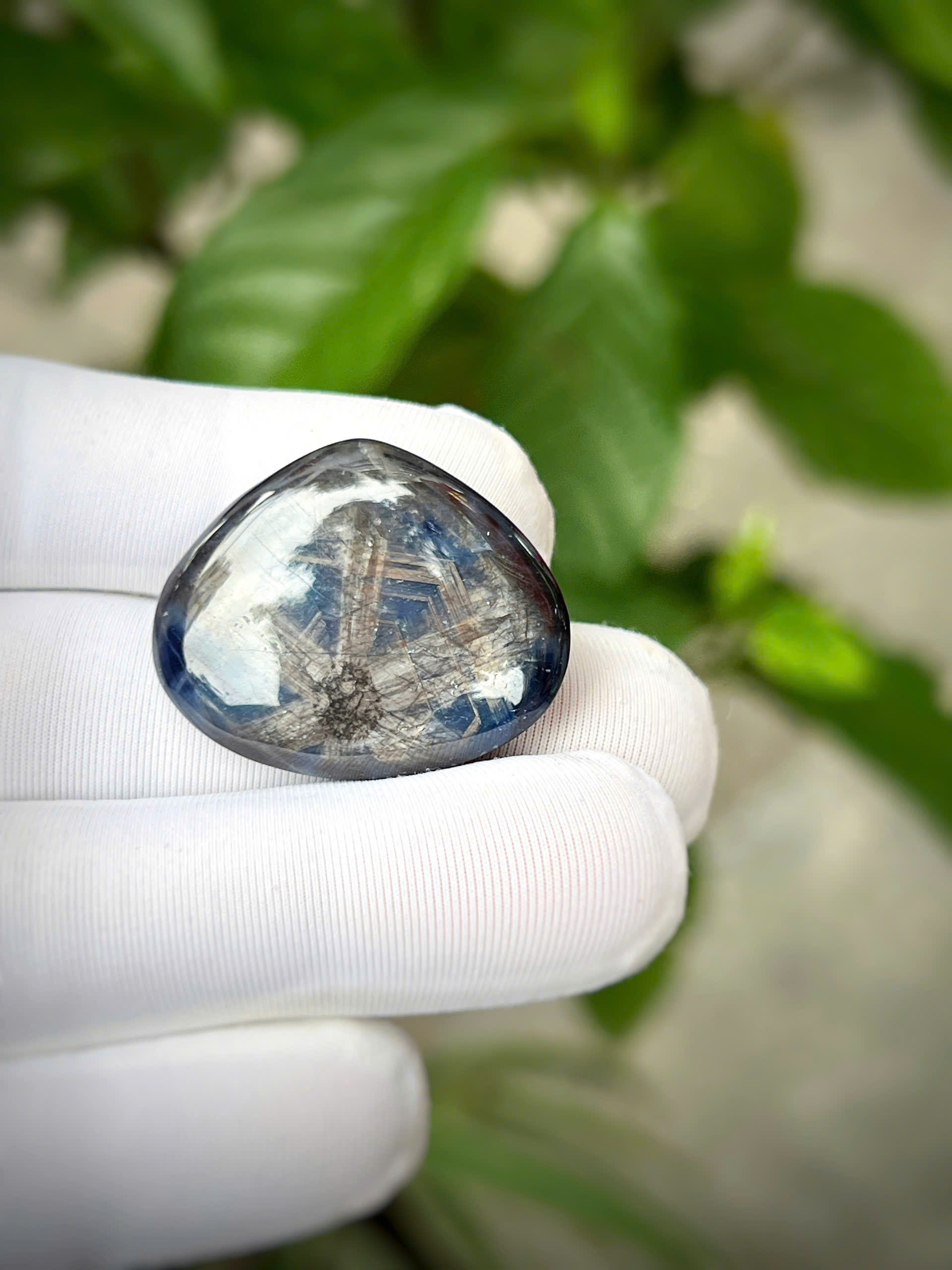 gen-h-z7686431162941_60105ad4306bbf13b2c7fe4d29a7b6d4