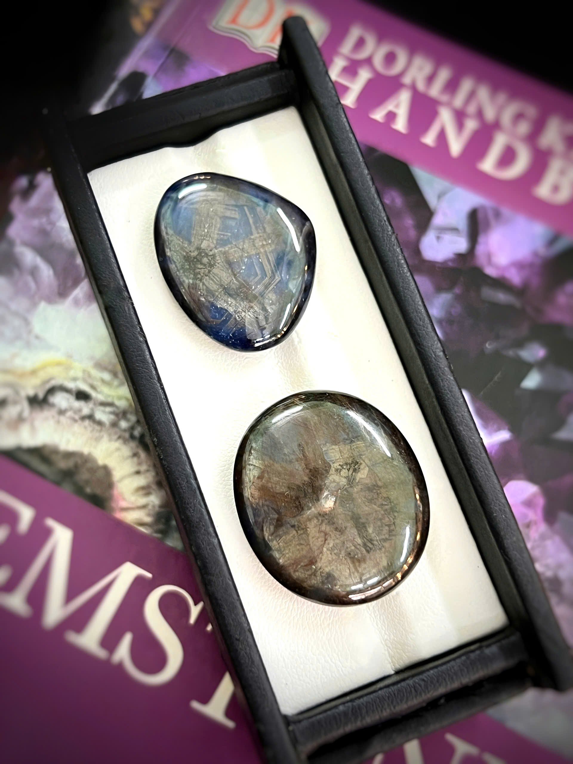 gen-h-z7686431168587_9f1e2d72db536ac12d94f1a29c7fe181