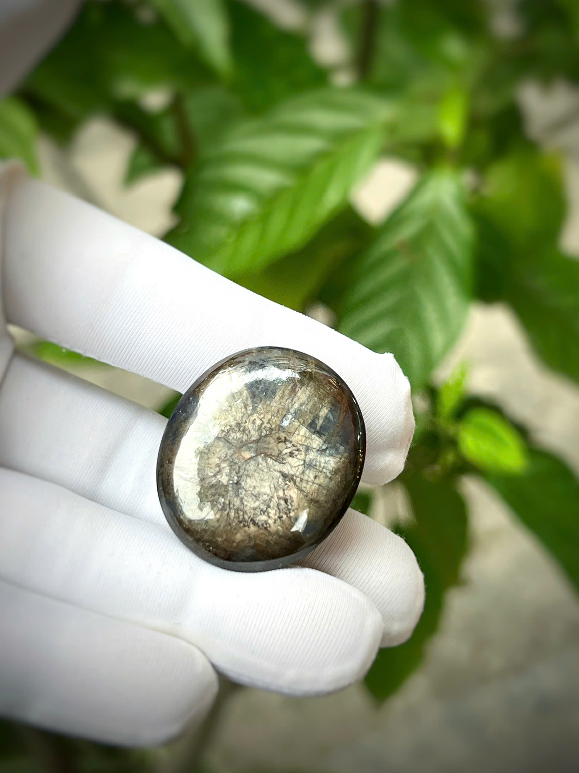 gen-h-z7686431175745_0a3e6ba54810b11c3eaa9936addf0b69