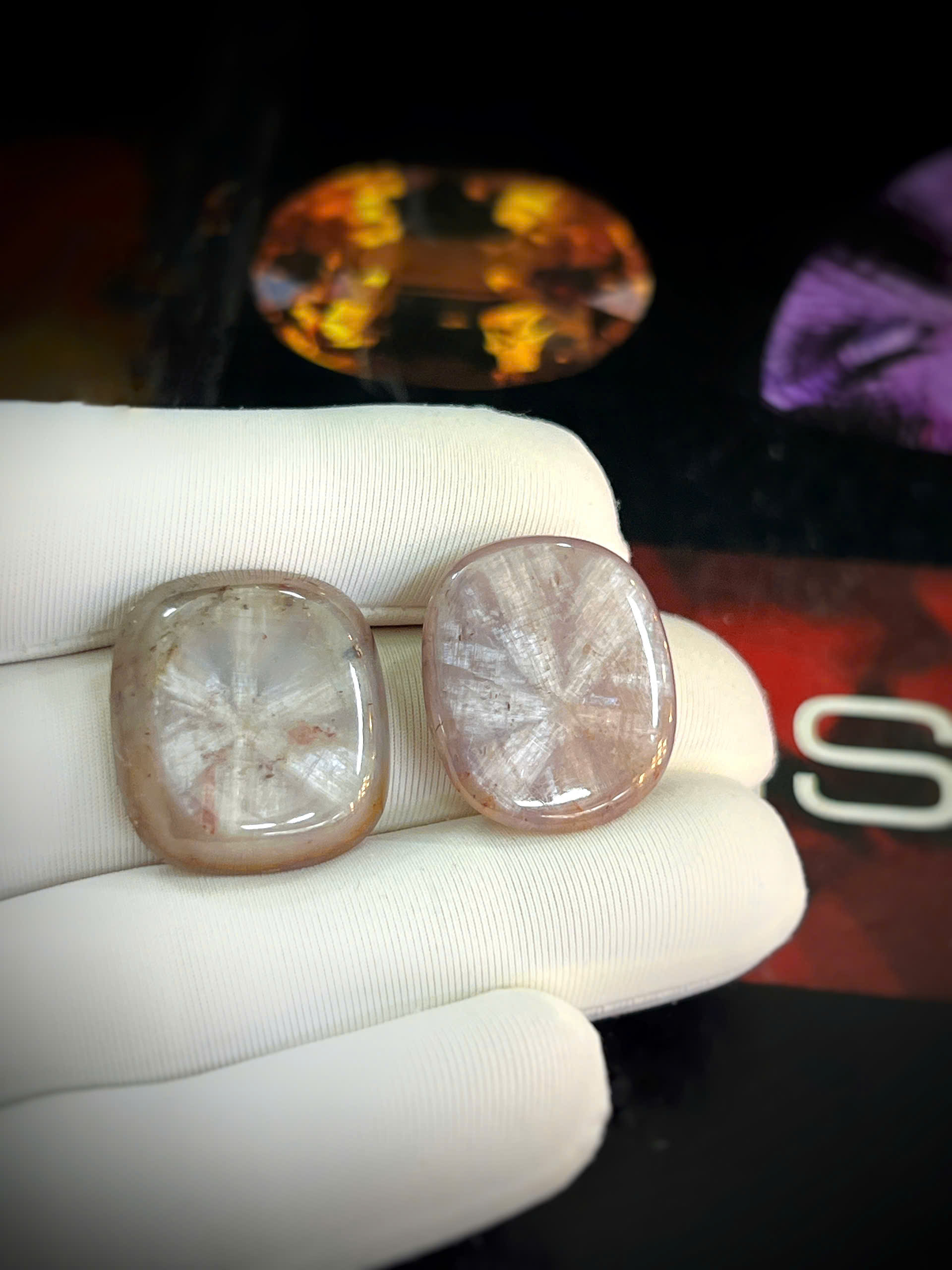 gen-h-z7686431181909_4d7dc0a5776cee7dd7a6b69e54888d17