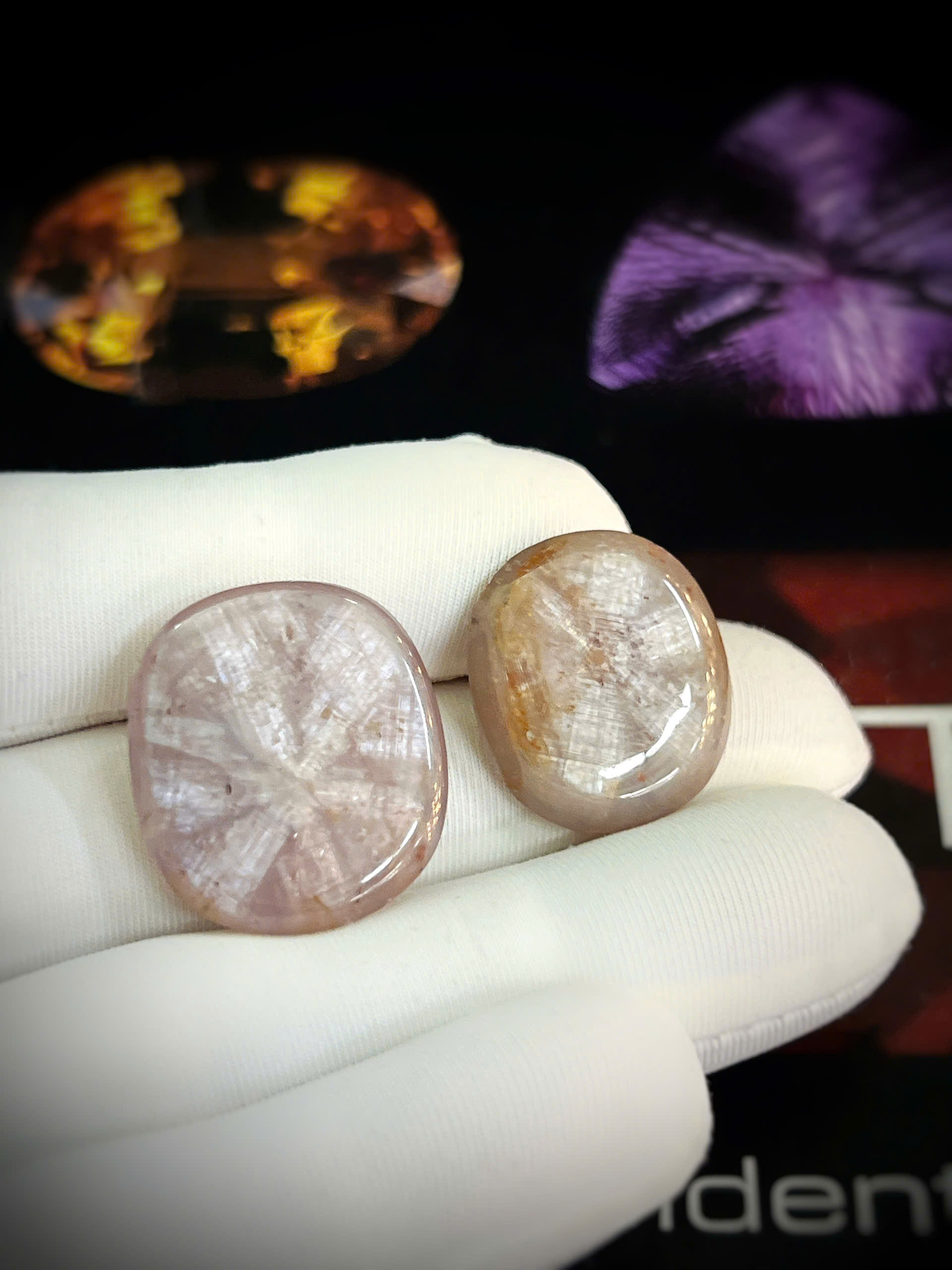 gen-h-z7686431197270_9ba613437abaefac8a9d2bca9410f50a