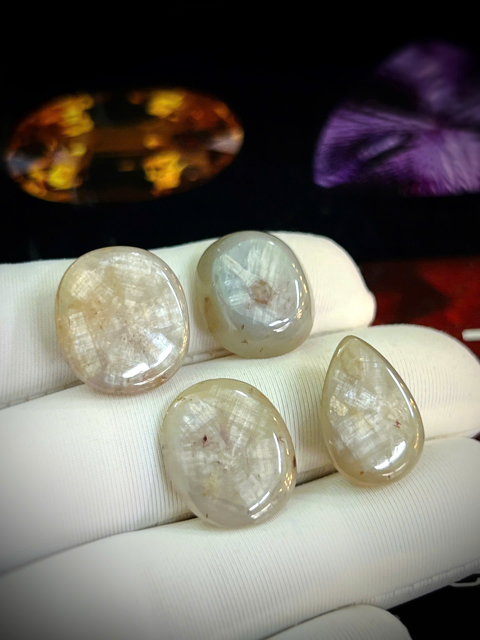 gen-h-z7686431204439_dff7ae3ad77e885c93efb11c766e4c3c