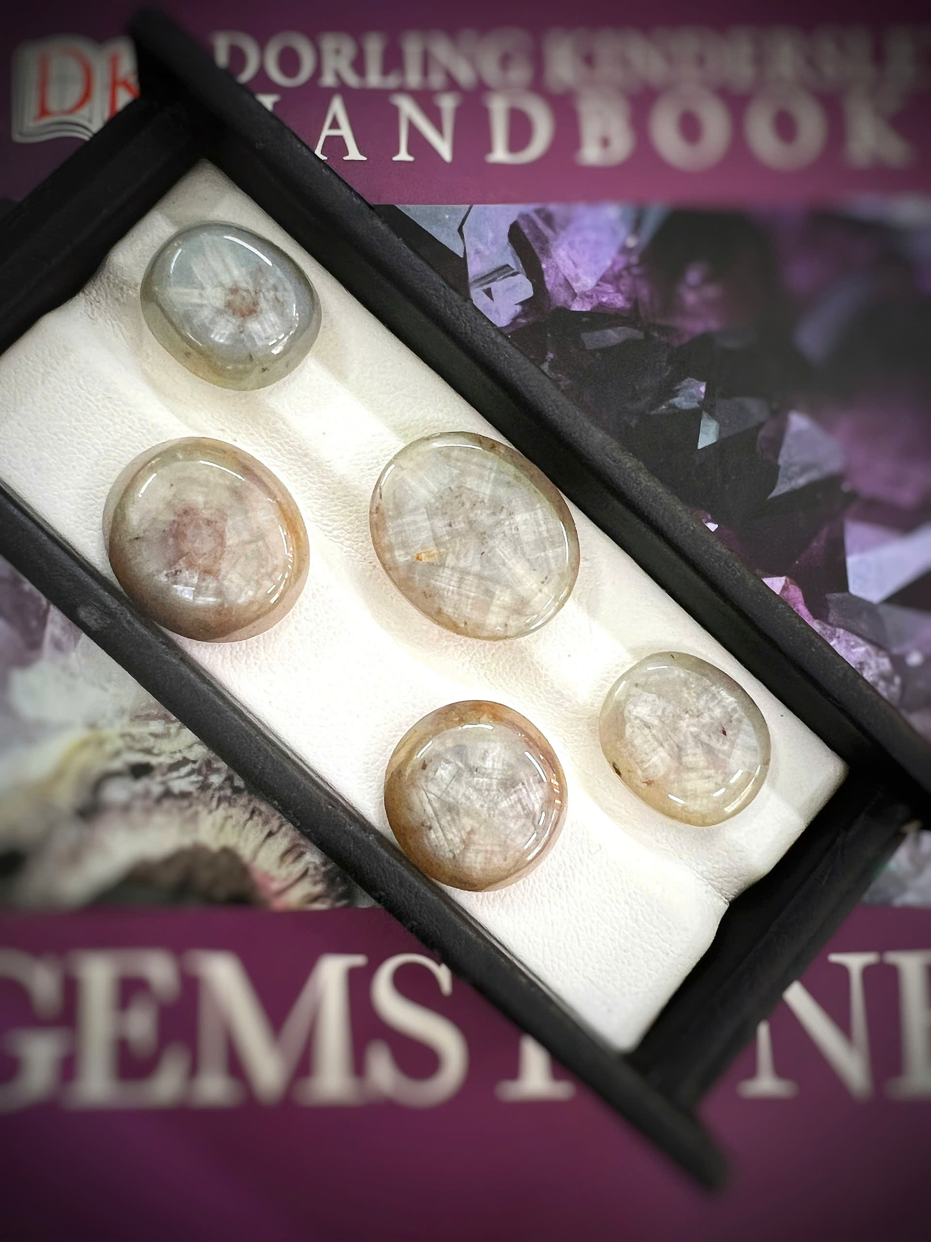 gen-h-z7686431210649_5dbdd1ff37754f525062b7b535414170