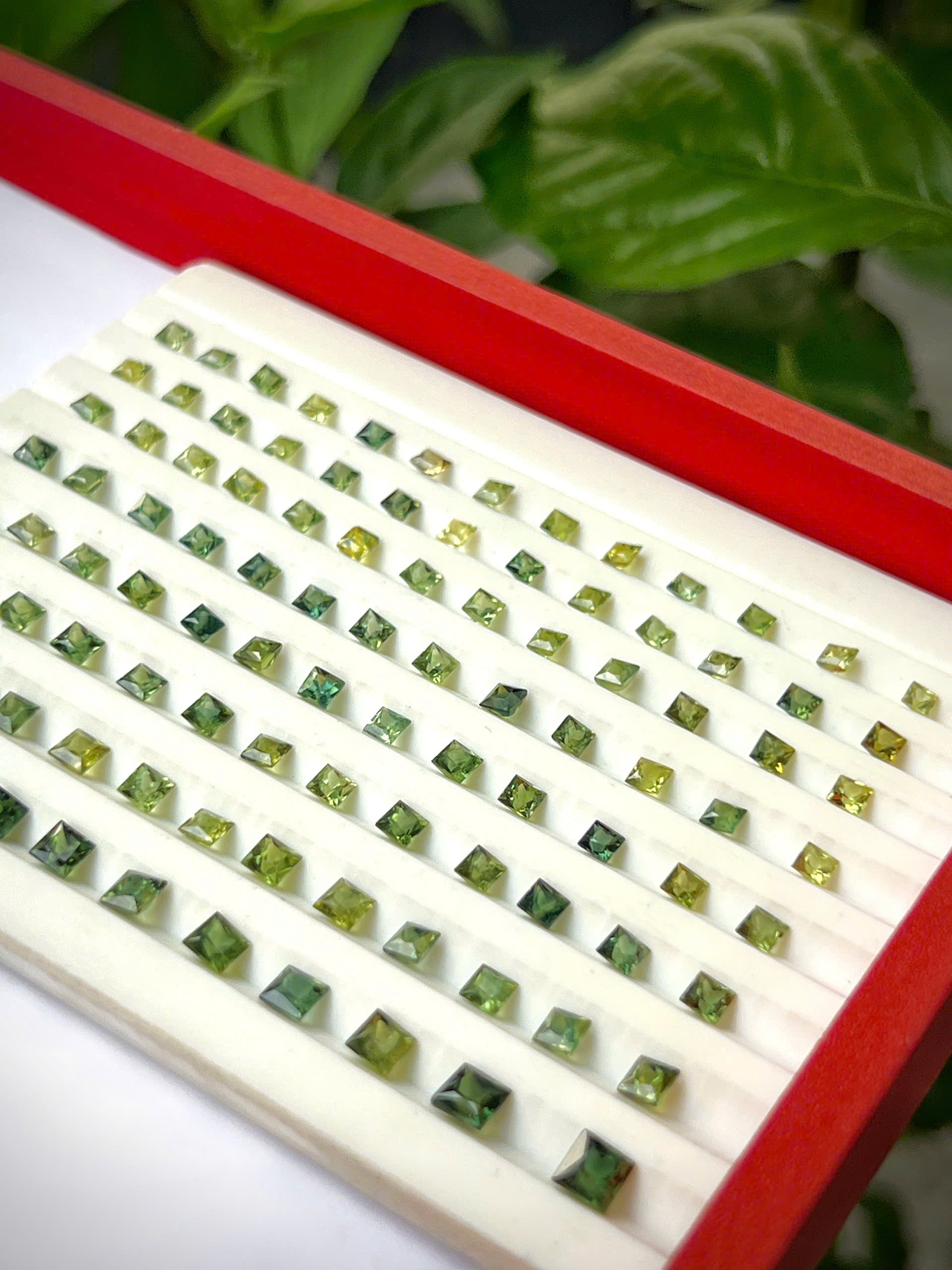 gen-h-z7703114381745_19a3c759d91c2cc461769c1776e721b1