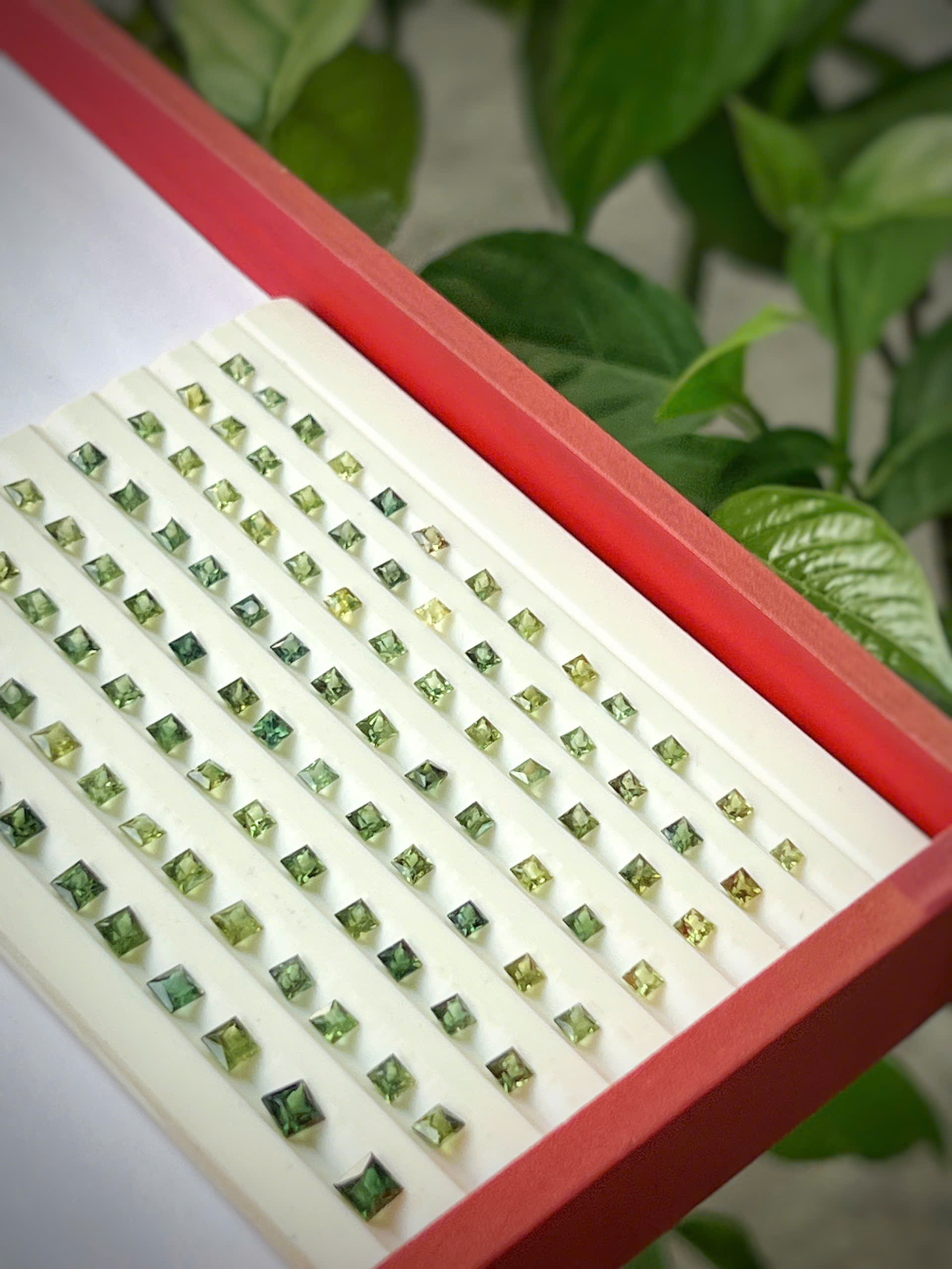 gen-h-z7703114366478_469b9e1c9109ab34d4d8677d847e6bd9