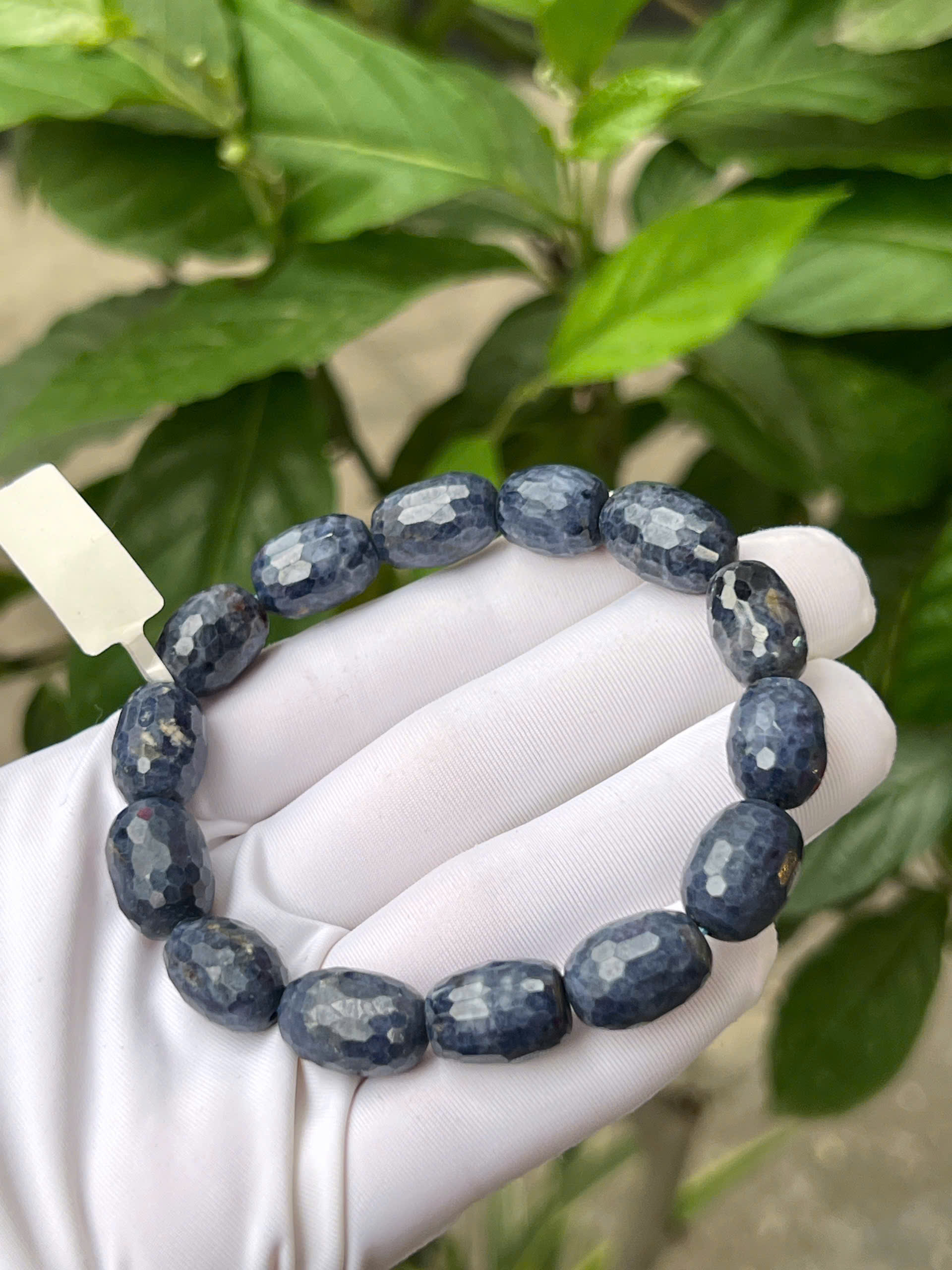 gen-h-z7743931733274_51c949c4351056d428544915f0cee510