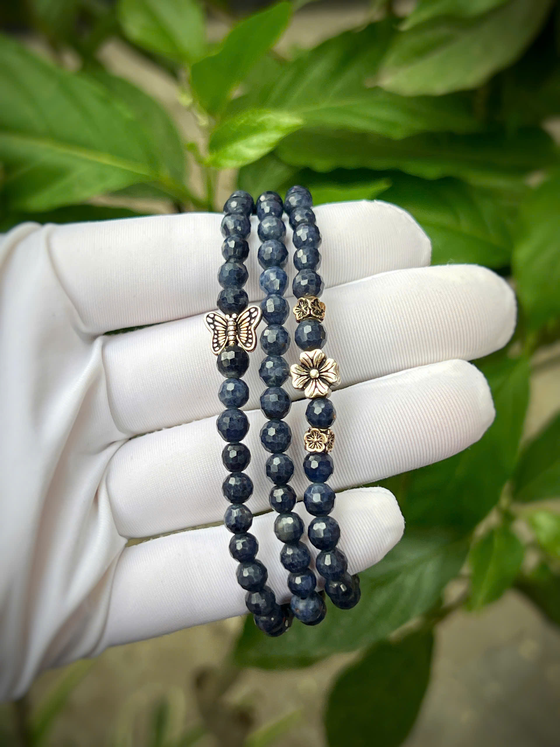 gen-h-z7743931746165_87ffcaa612de77cda4f78f12435c76a9