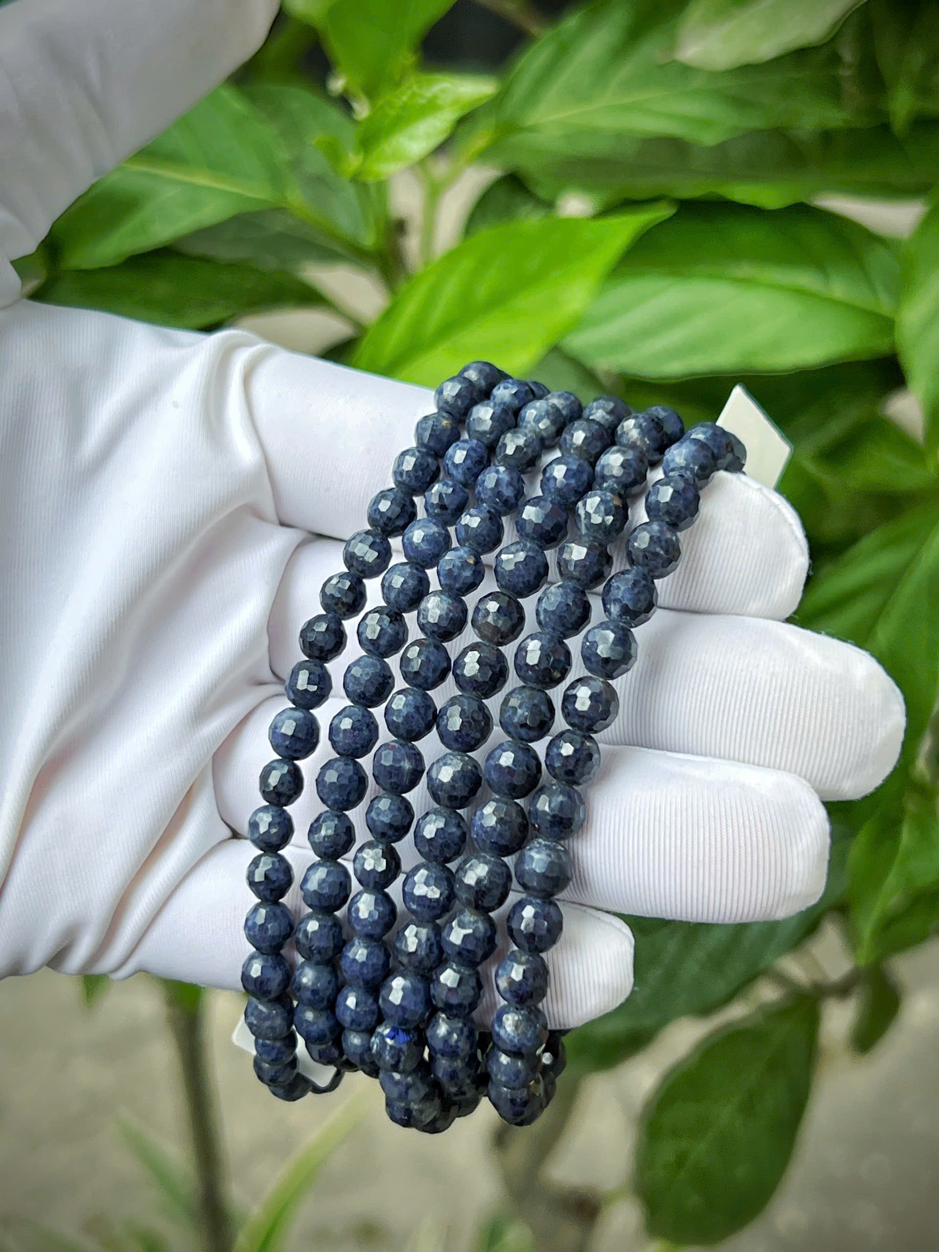 gen-h-z7743931762573_b960ddacdf9b92955b19707be9f9218d