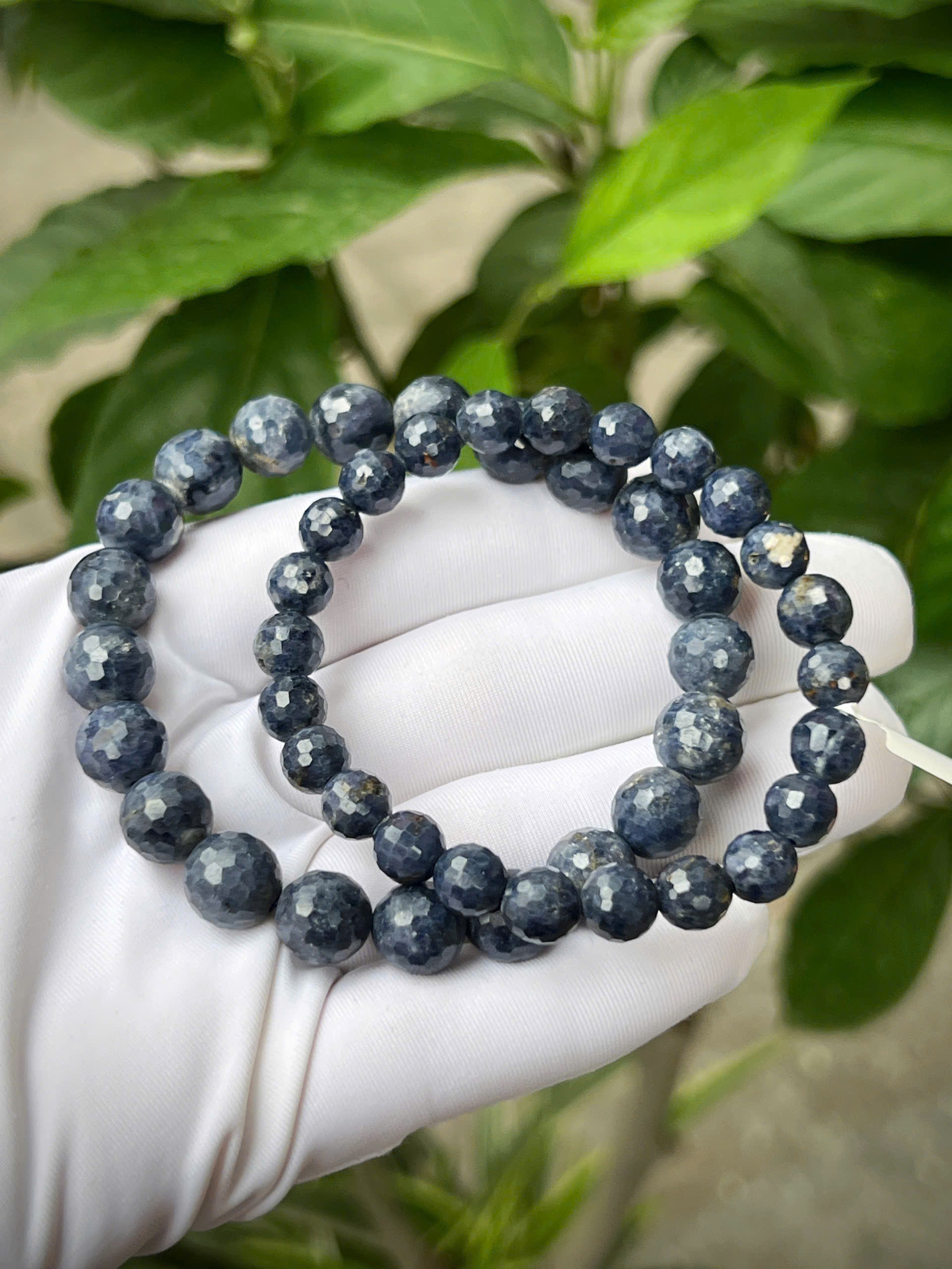 gen-h-z7743931767975_5ade02fd05a7fc5ee3d2d18931bd51ab