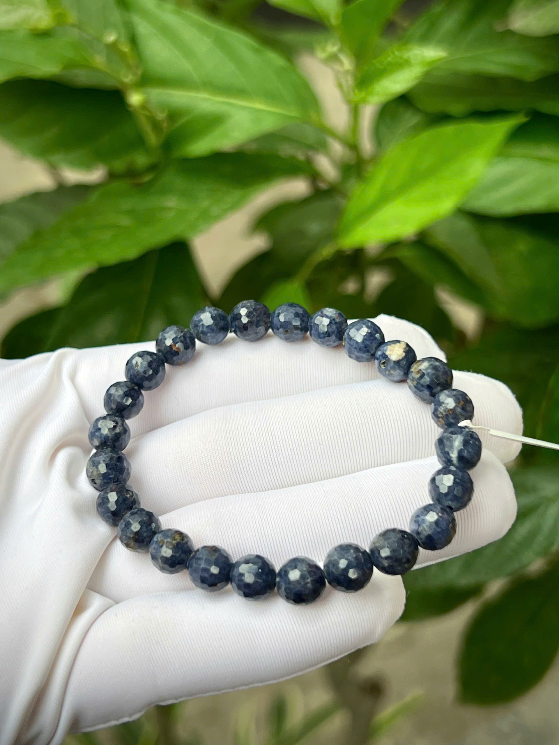 gen-h-z7743931776092_f0377e1eb560d571f86afe00e8b47c9e