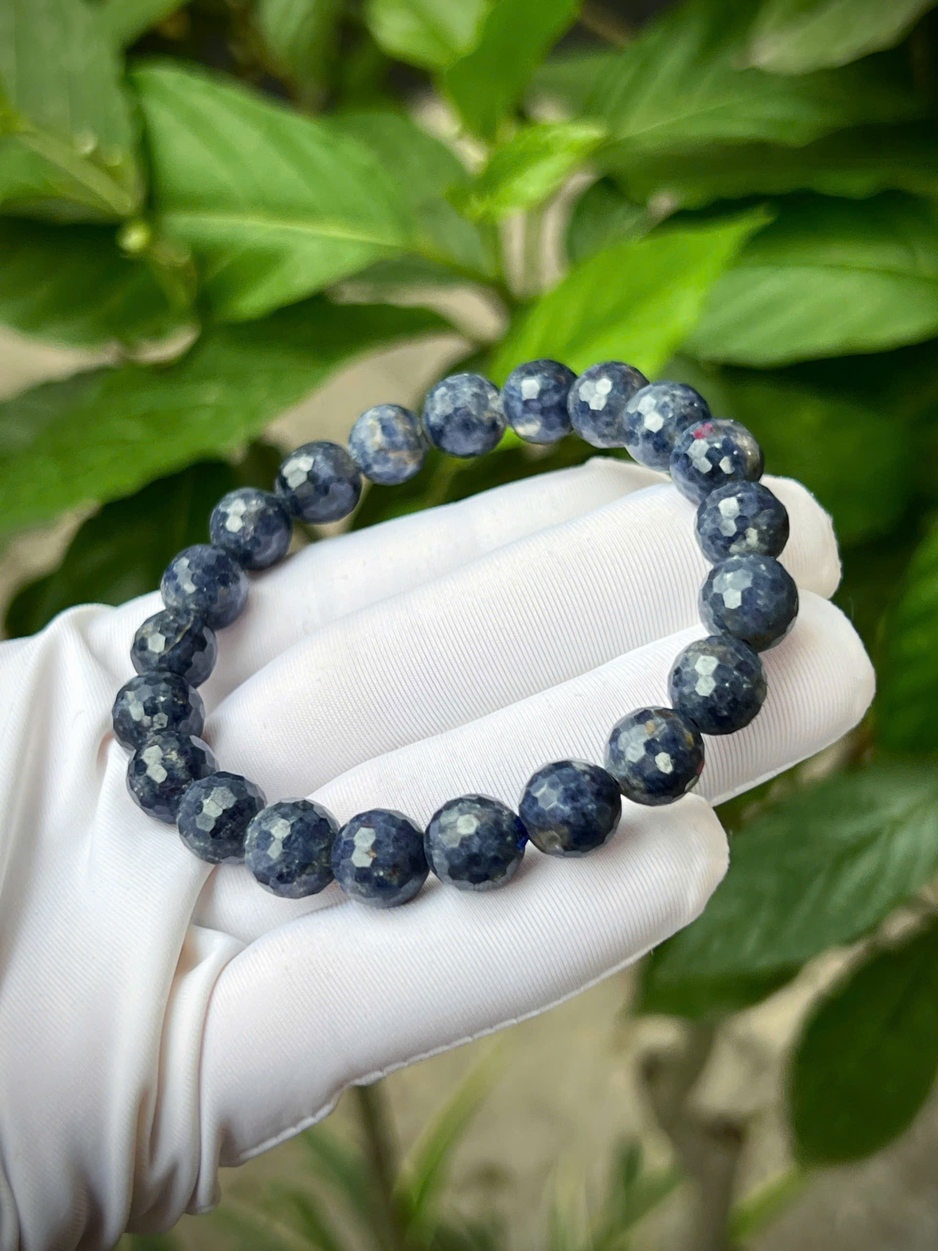 gen-h-z7743931785490_7e2b5eb5ec8a18a9ebd9e2d0d2e0cd06