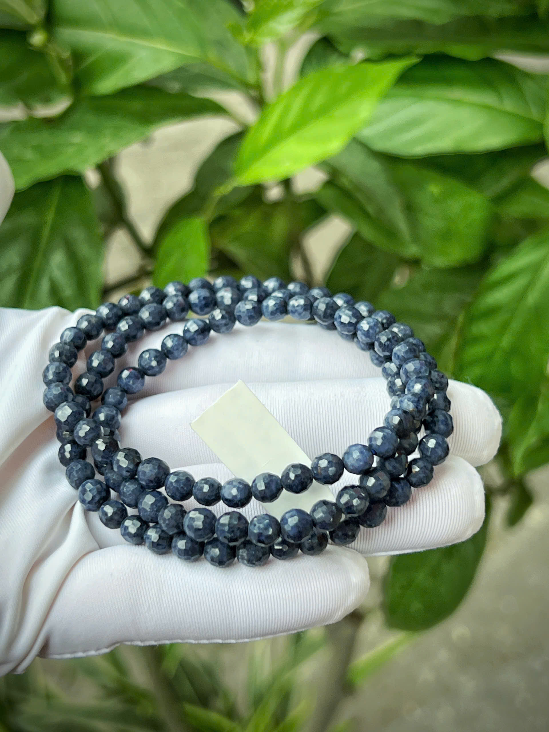 gen-h-z7743931829061_e8e71097bb02db05924250111644867e